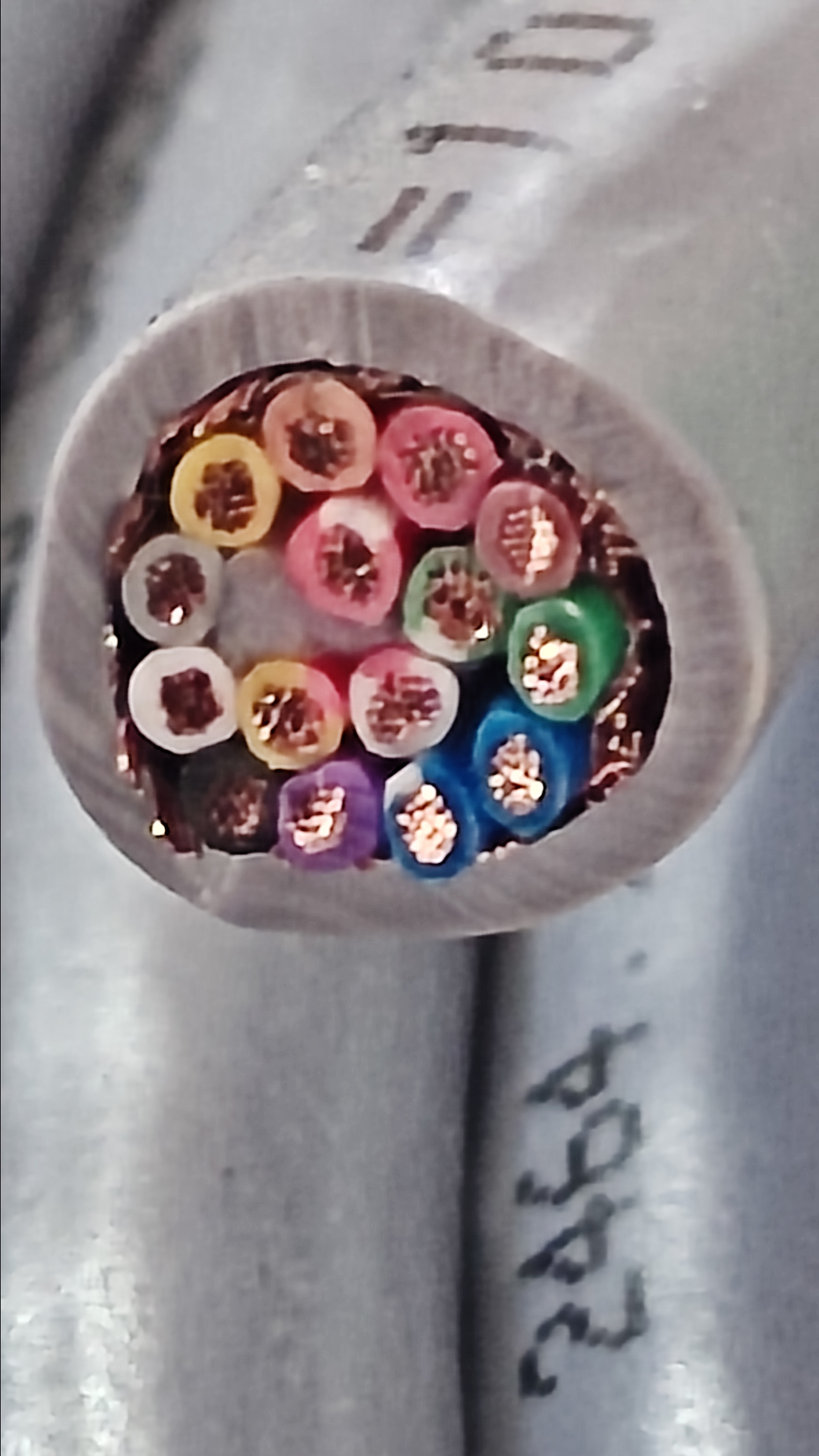 실드20x15C_3.jpg