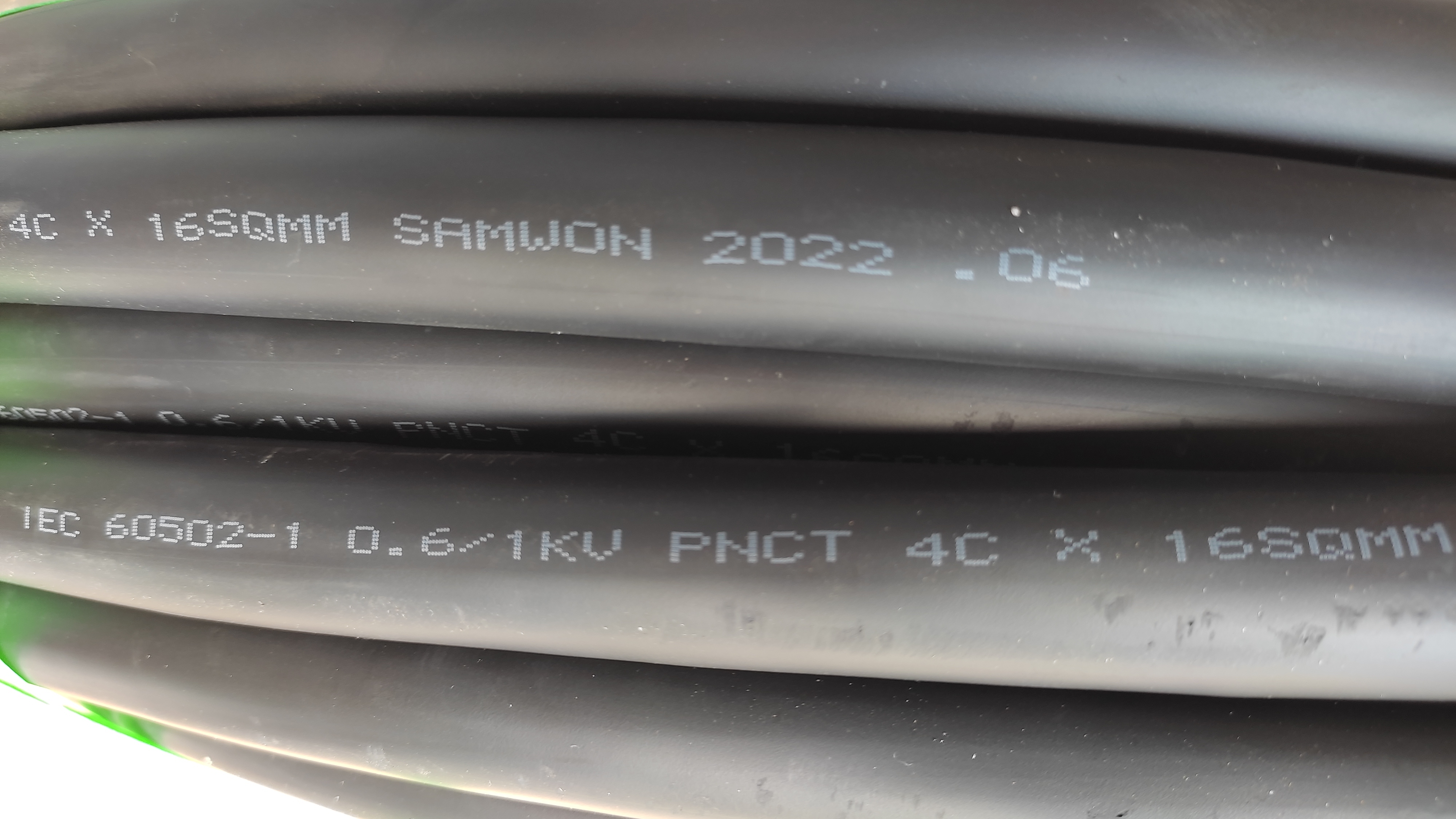pnct16X4_5.jpg