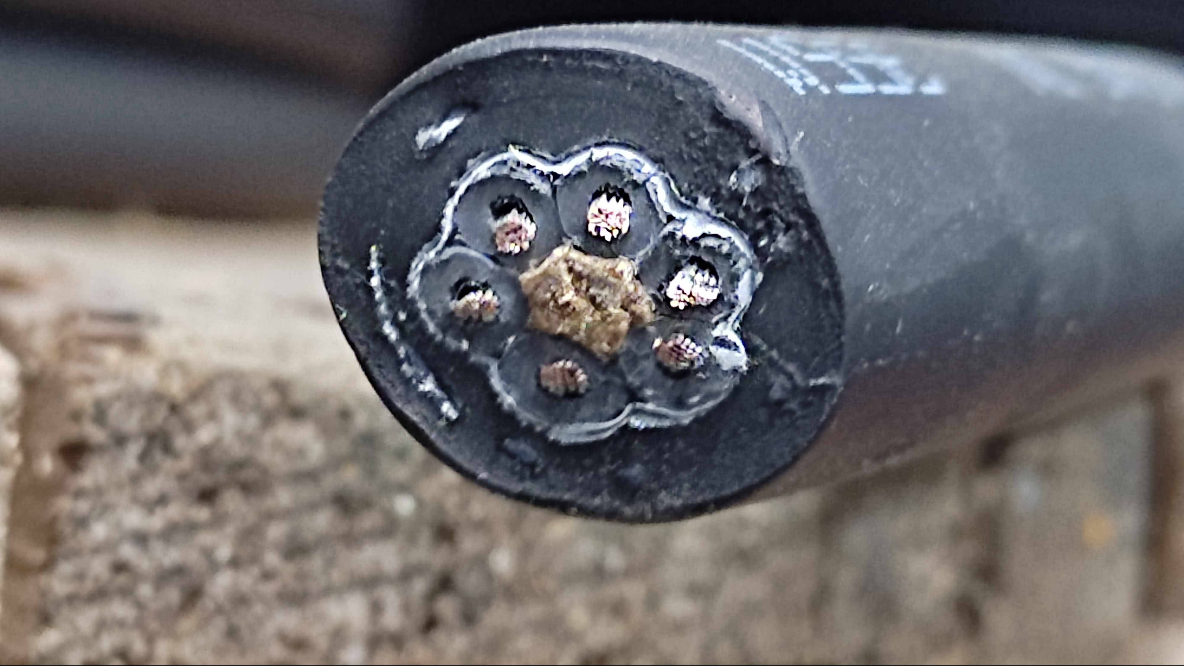 PNCT-R_1.5x6C_2.jpg