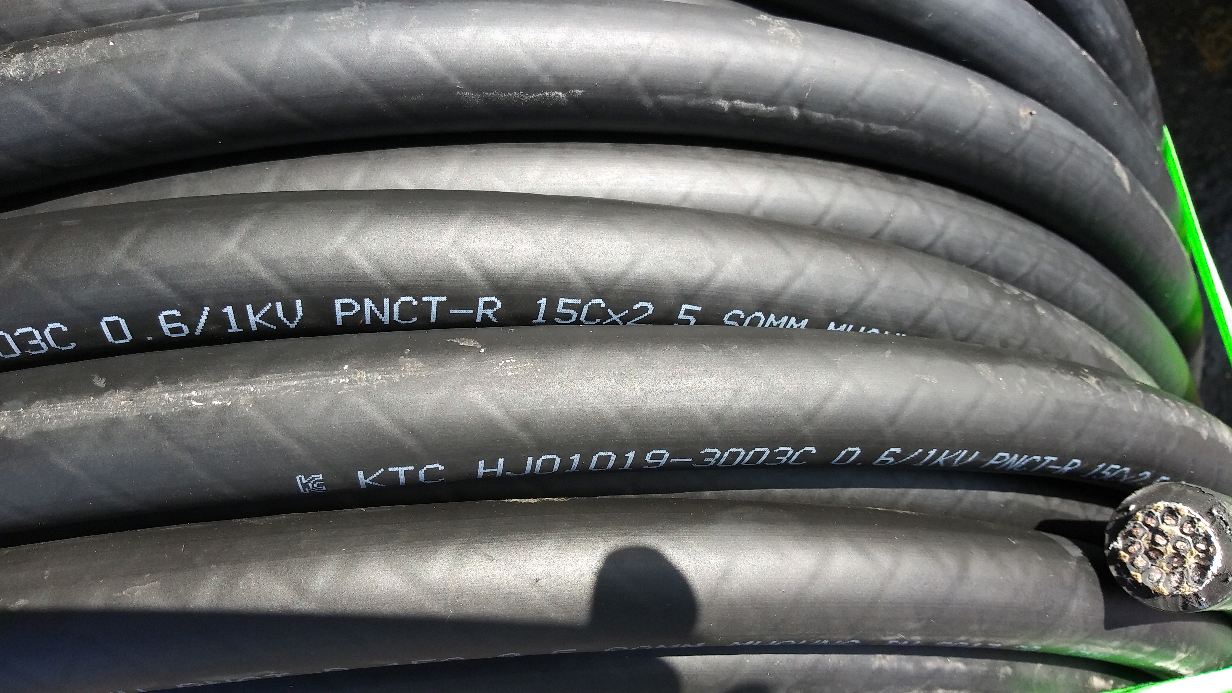 pnct-R_2.5X15c_3.jpg