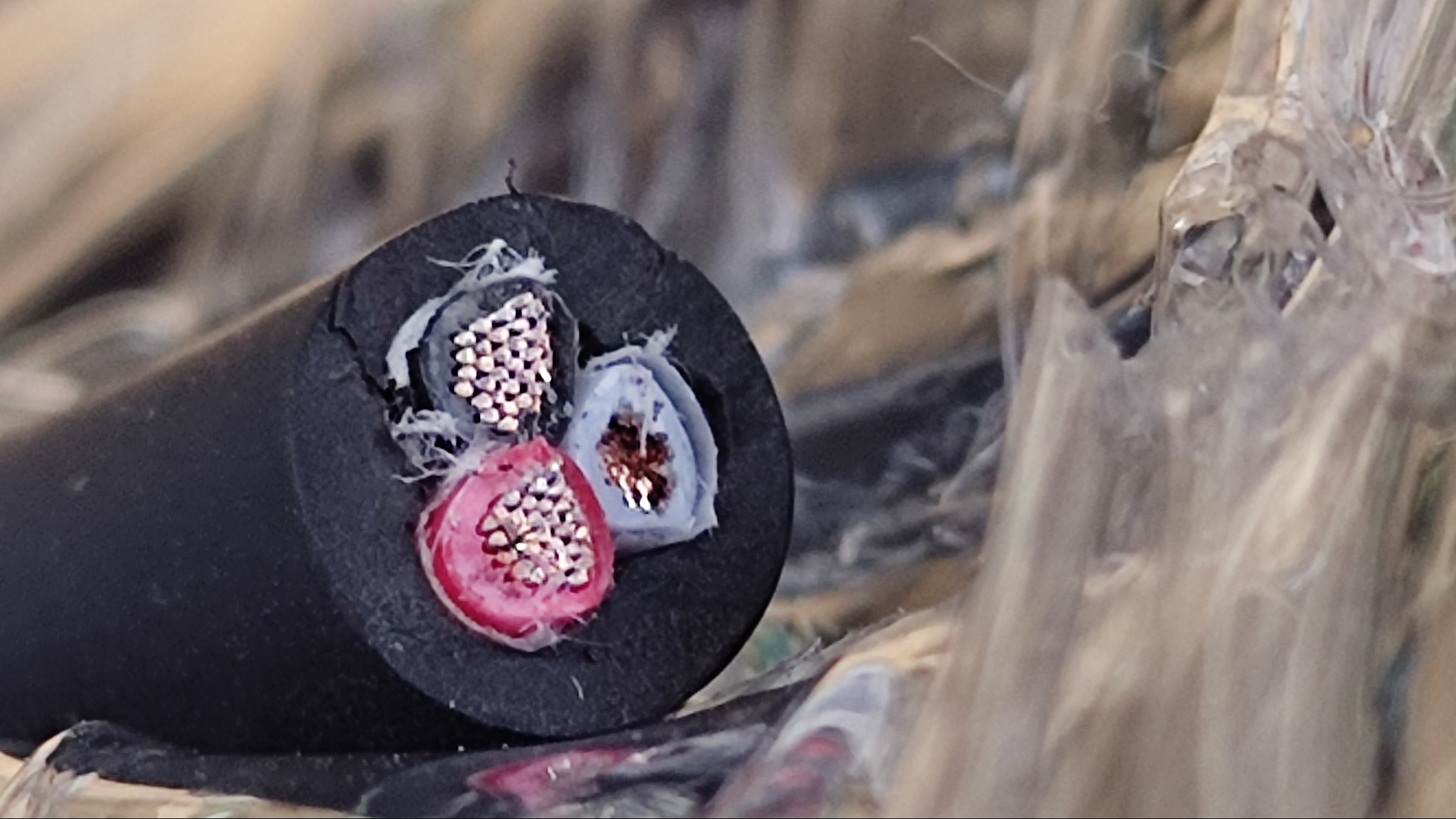 UL2464조작18x3C_3.jpg