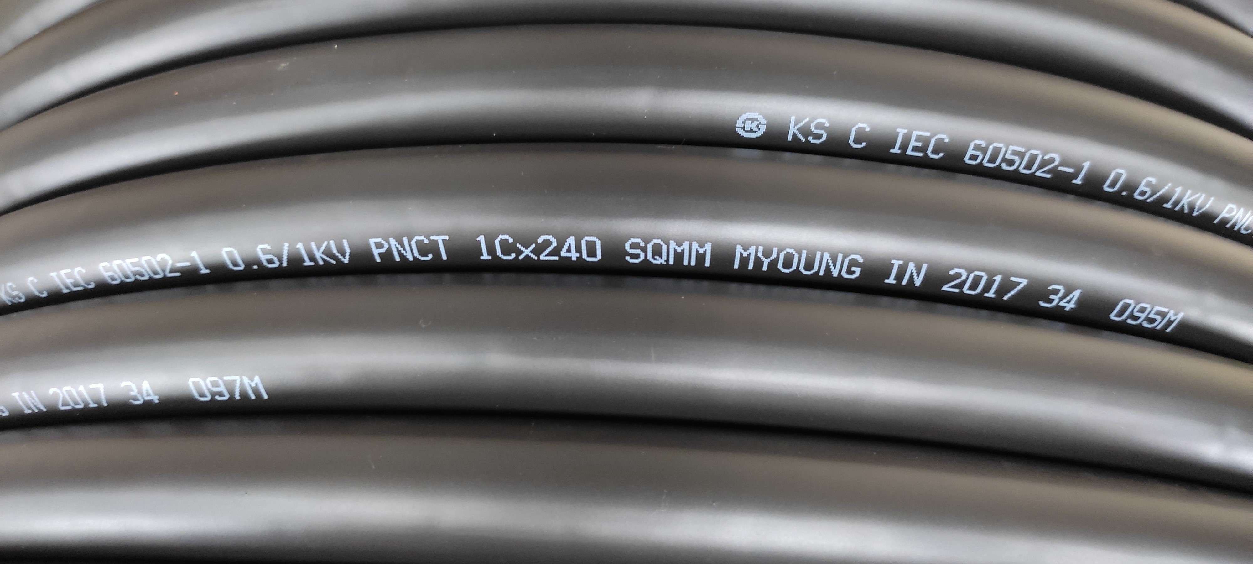 PNCT240x1C_5.jpg