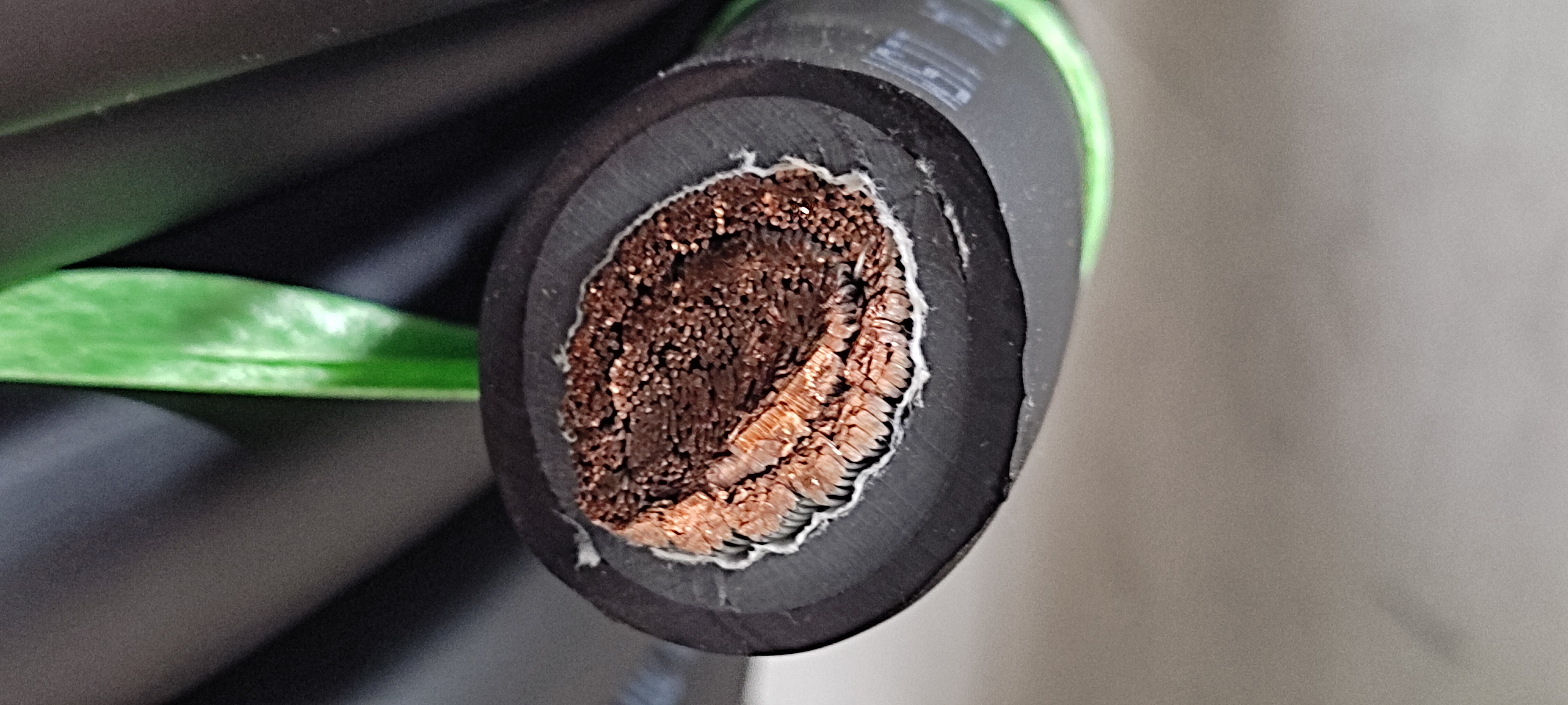 PNCT240x1C_4.jpg