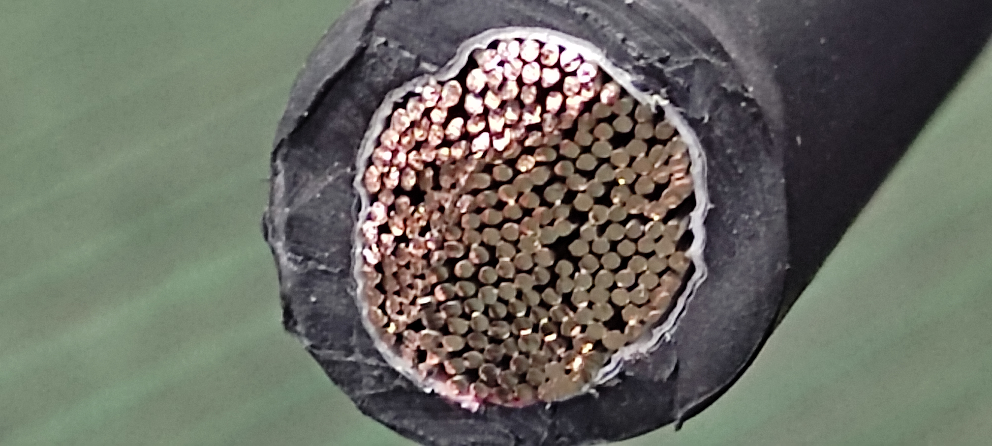WL1_38SQ_한미_2.jpg