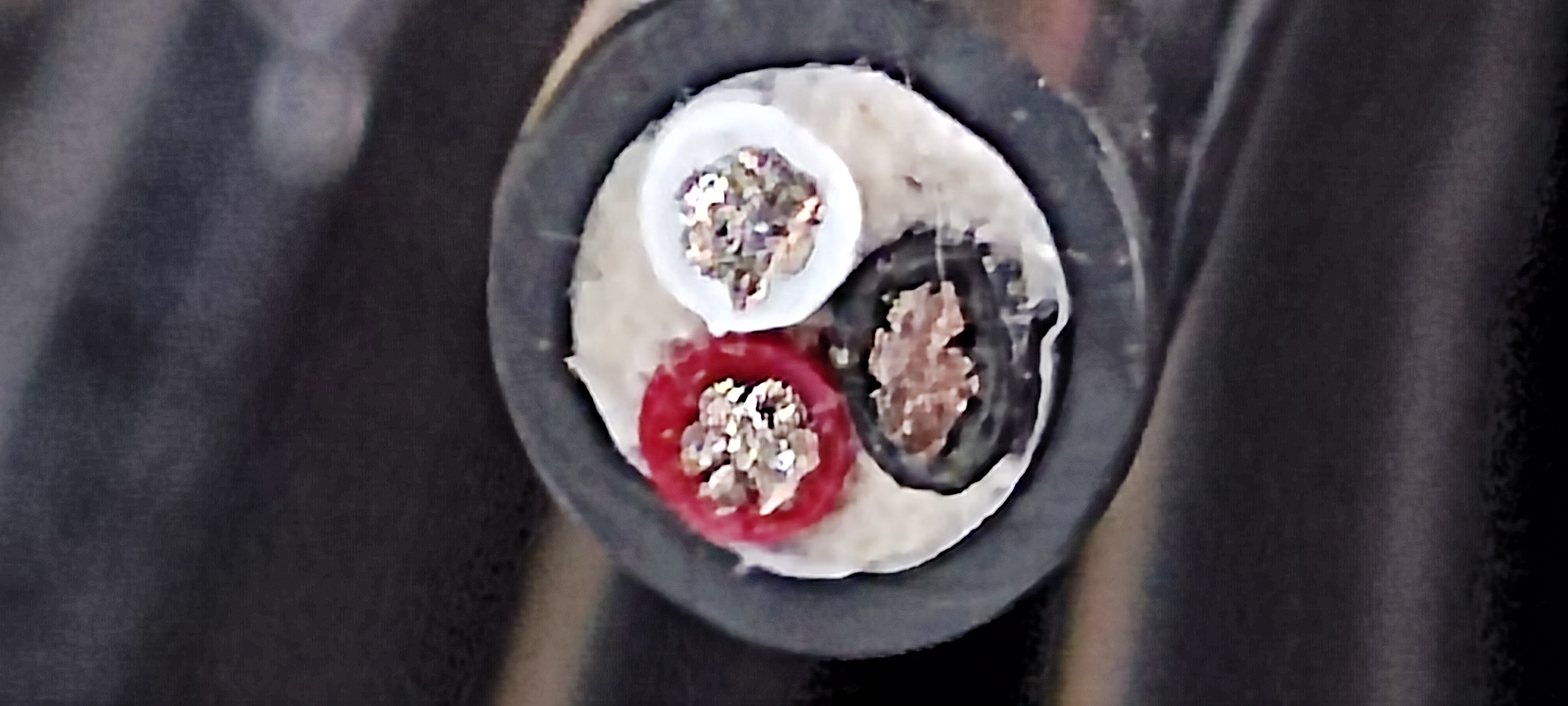 Roireu_3Cx16AWG_1.jpg