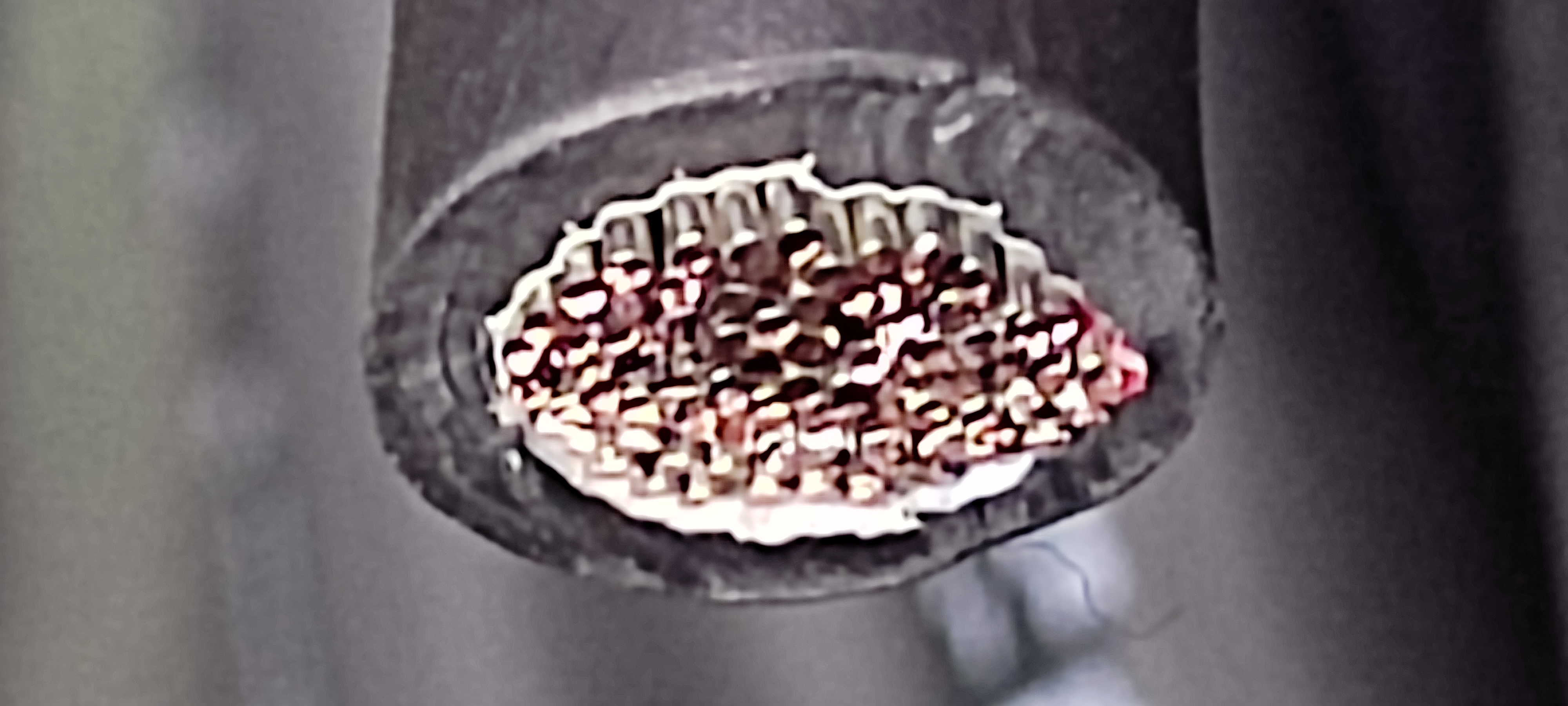 WL1_14SQ한미_1.jpg