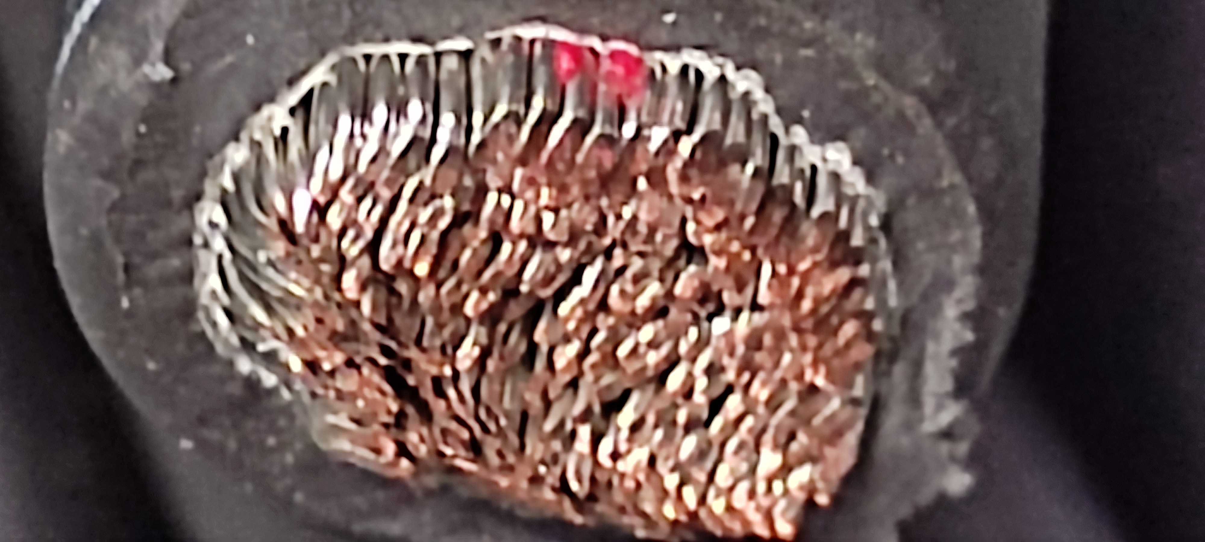 WL1_50SQ_명인_1.jpg