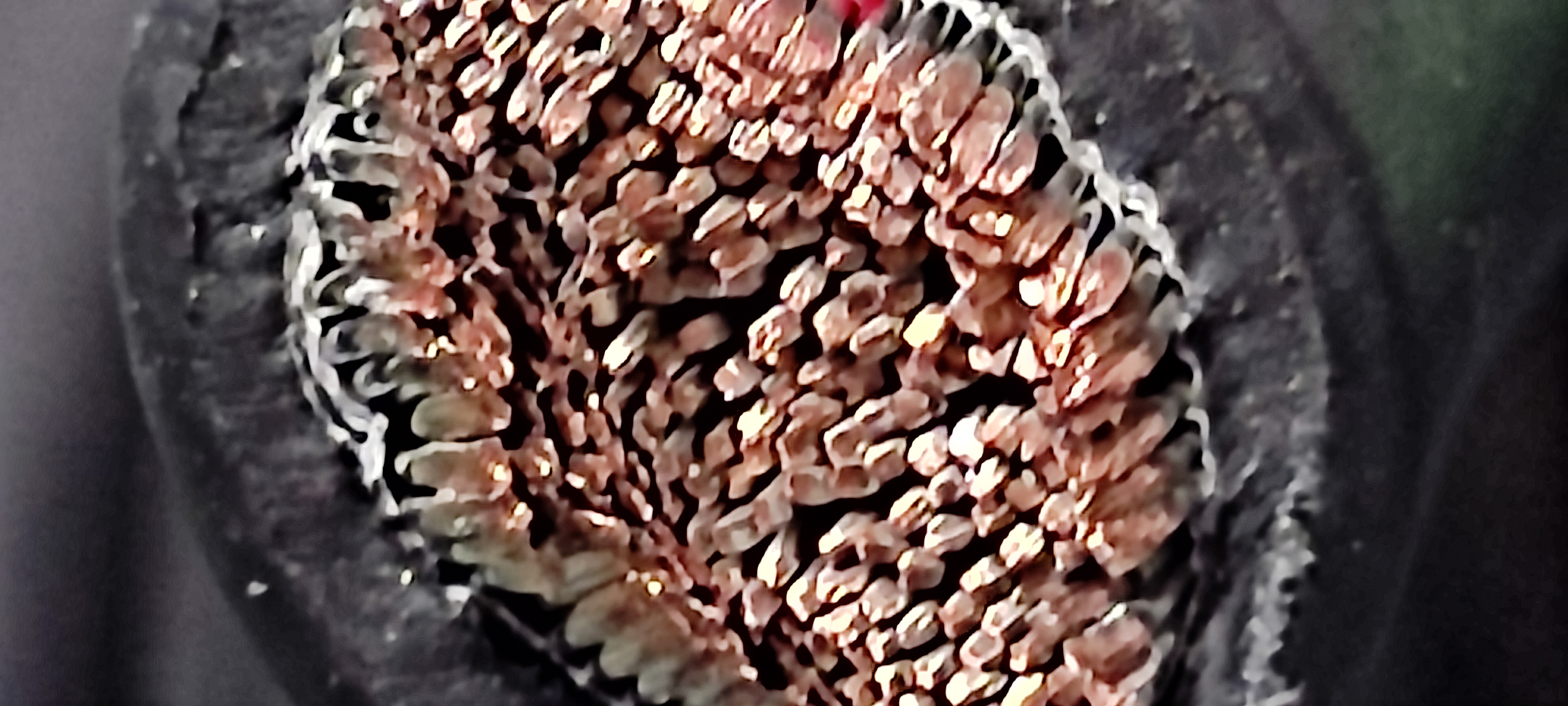 WL1_50SQ_명인_2.jpg