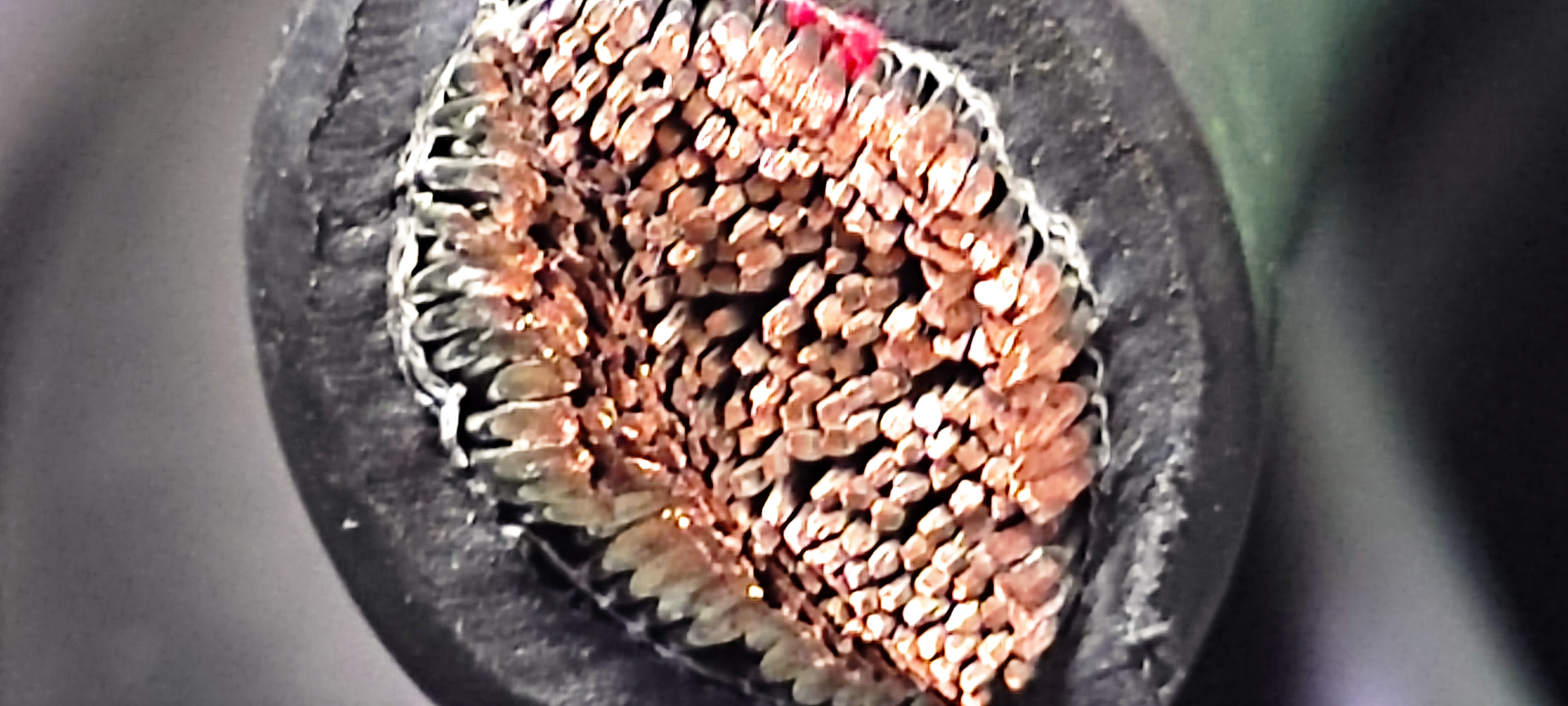 WL1_50SQ_명인_5.jpg