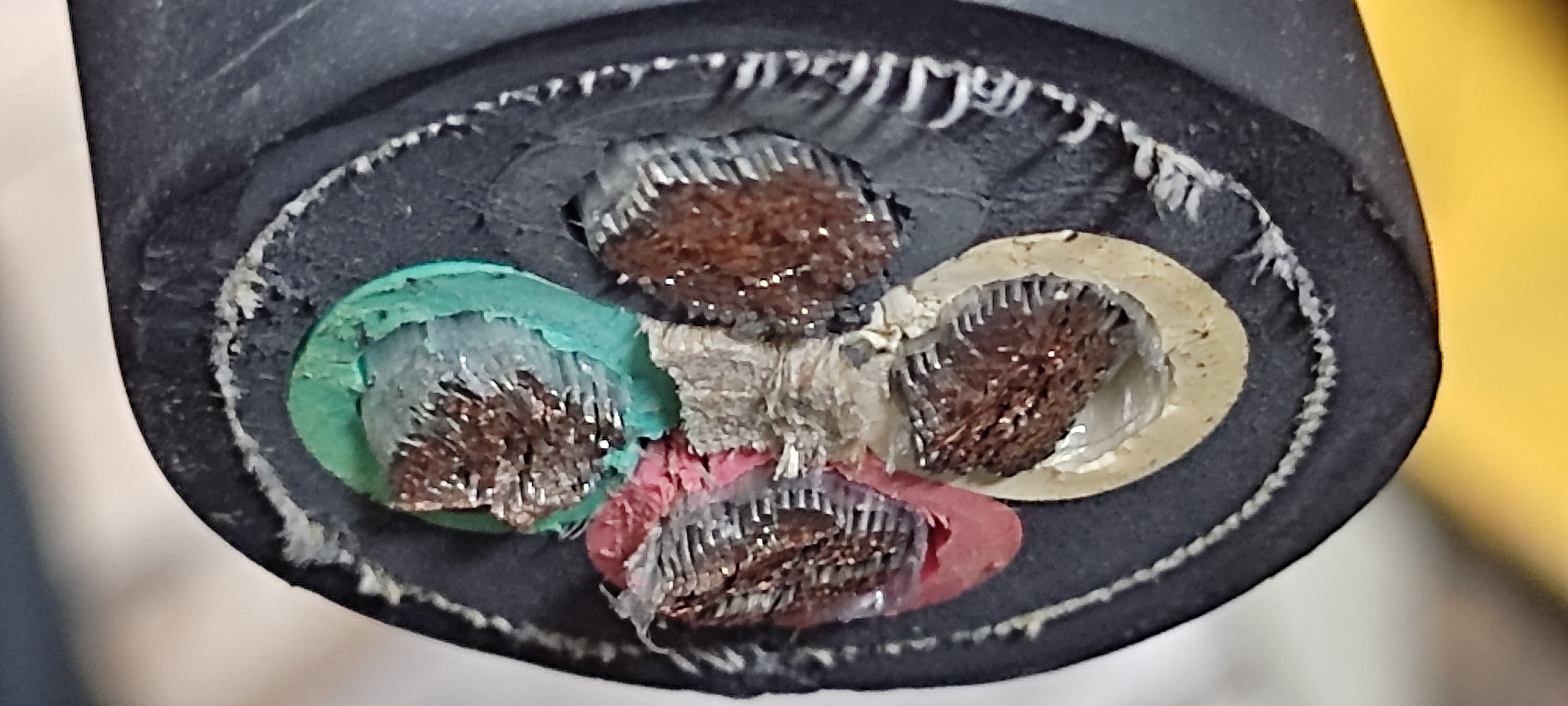 PNCT25SQx4C_한미ENG_4.jpg