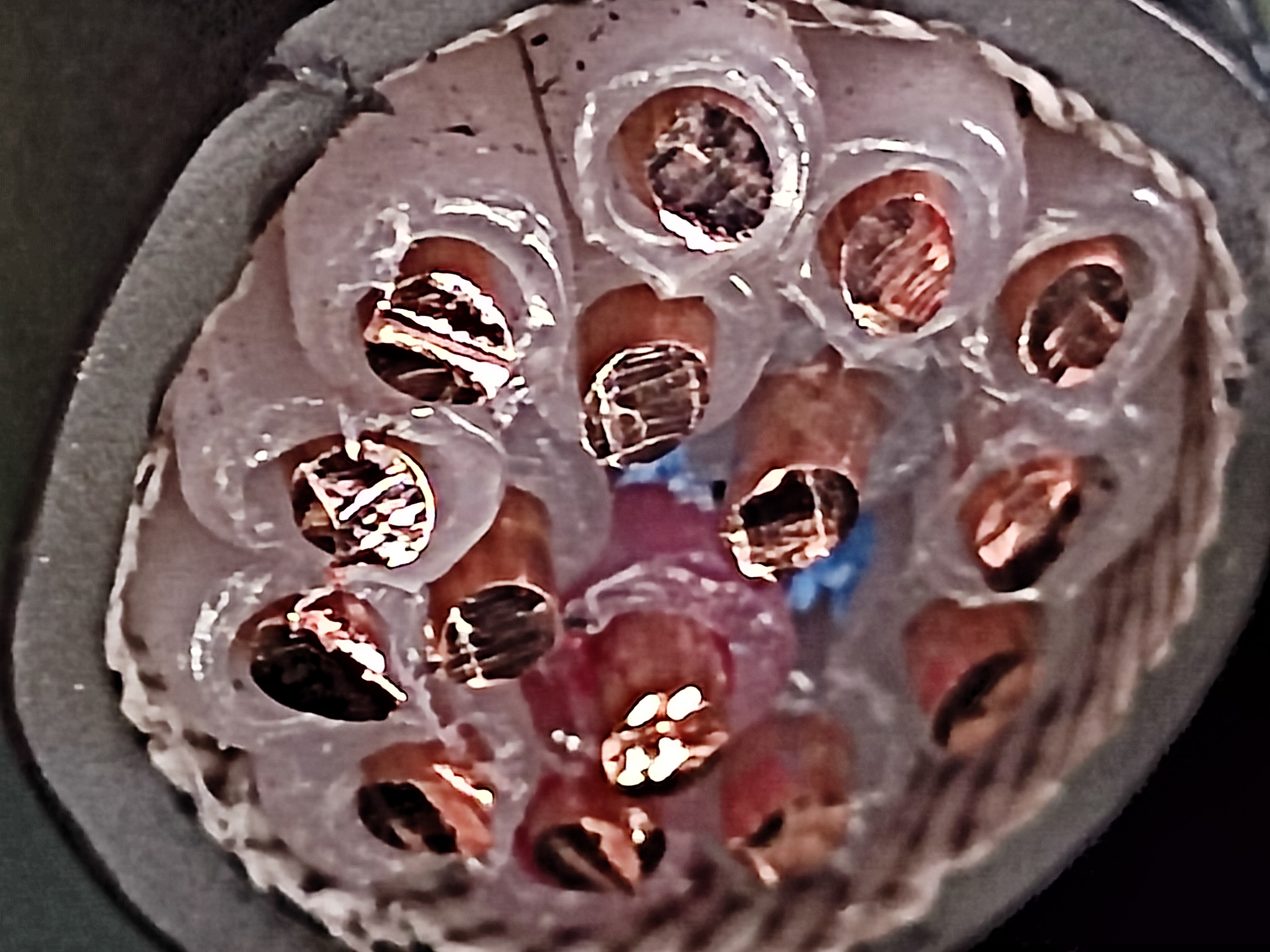 TFR-3_2.5x15C_KKC_2.jpg