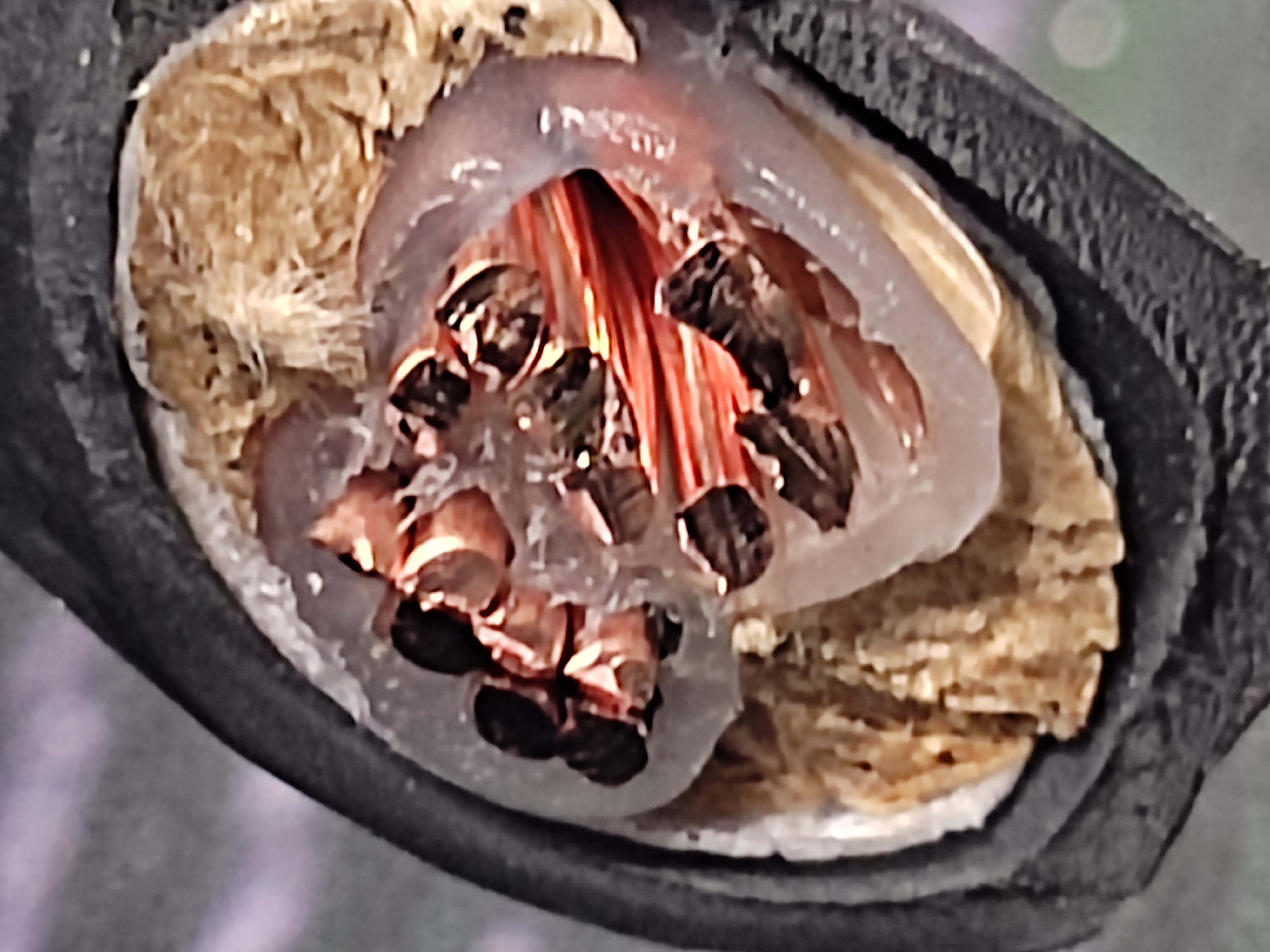 TFR-CV_10x2_KUMHWA_3.jpg