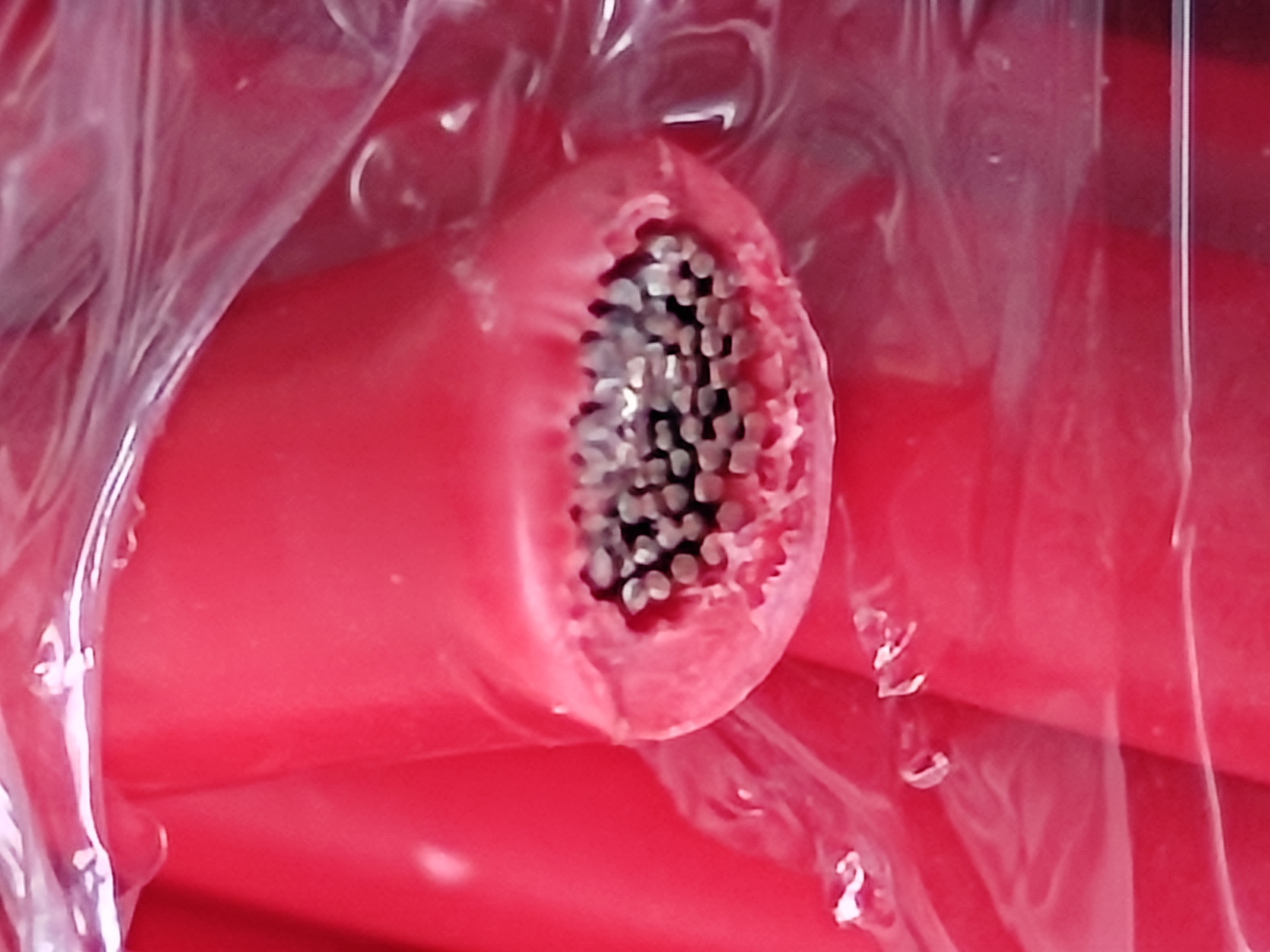 UL1015_12_RED_MC_1.jpg