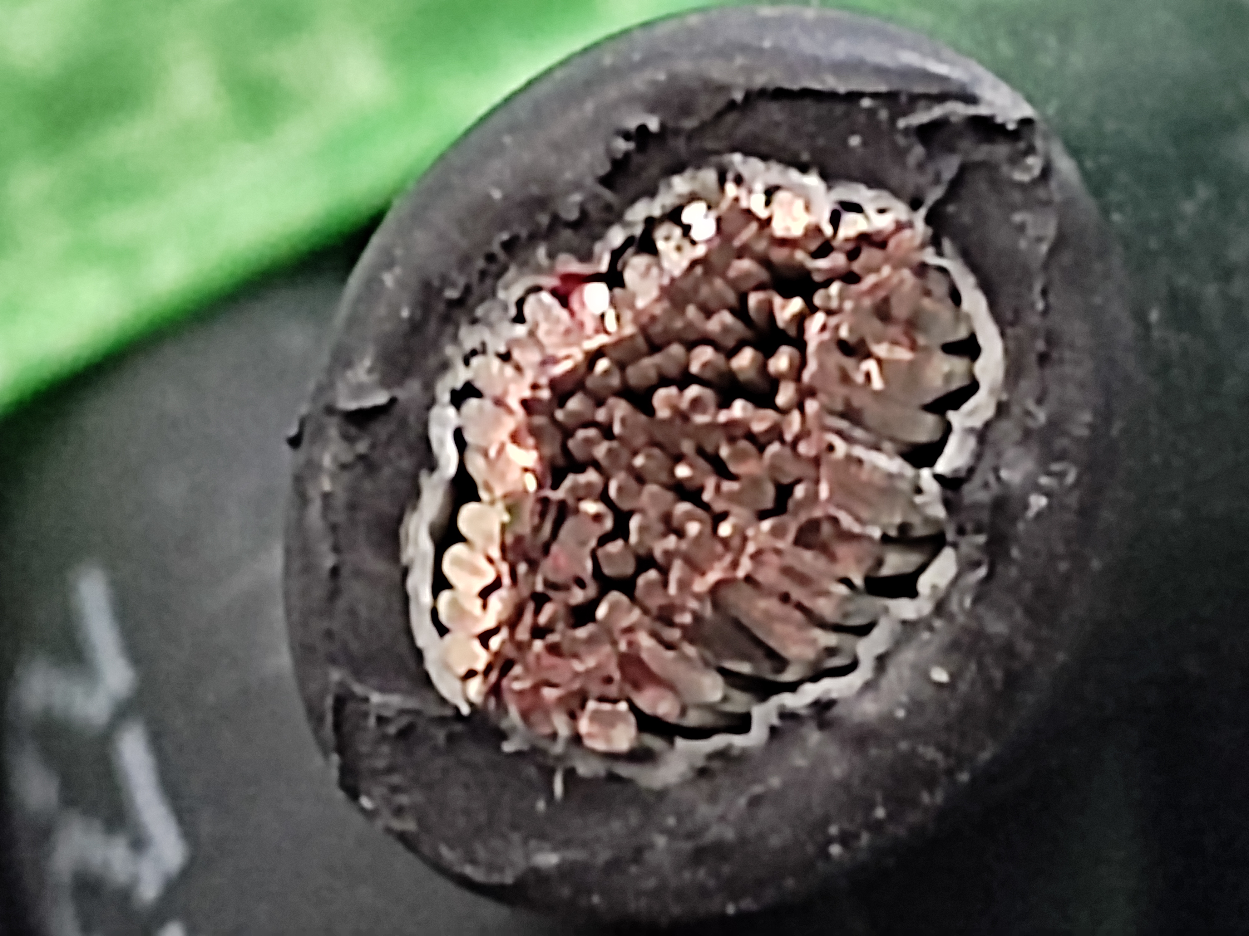 WL1_22SQ_HANM_ENG_1.jpg