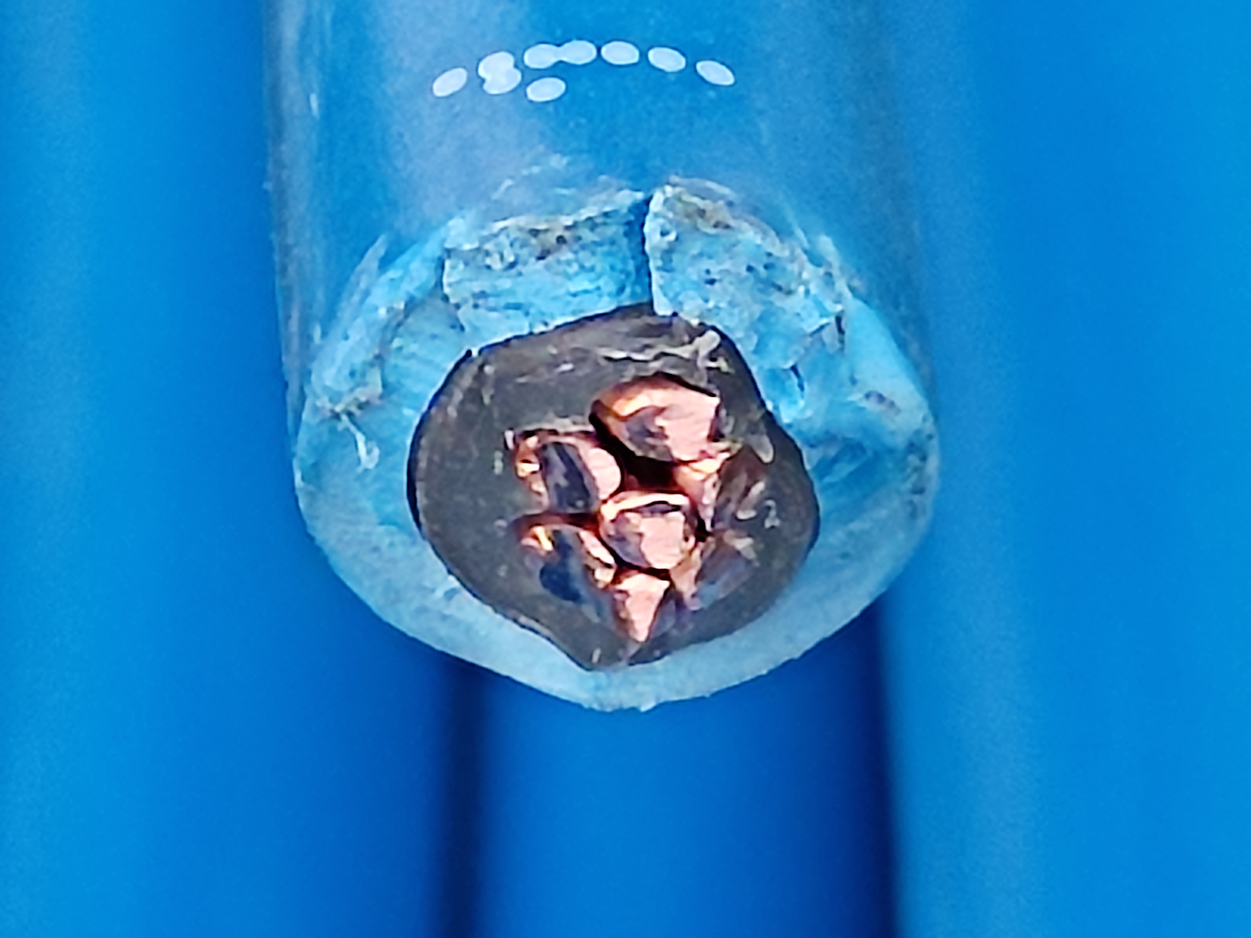 TFR-CV_6x1_BLU_KKC_2.jpg