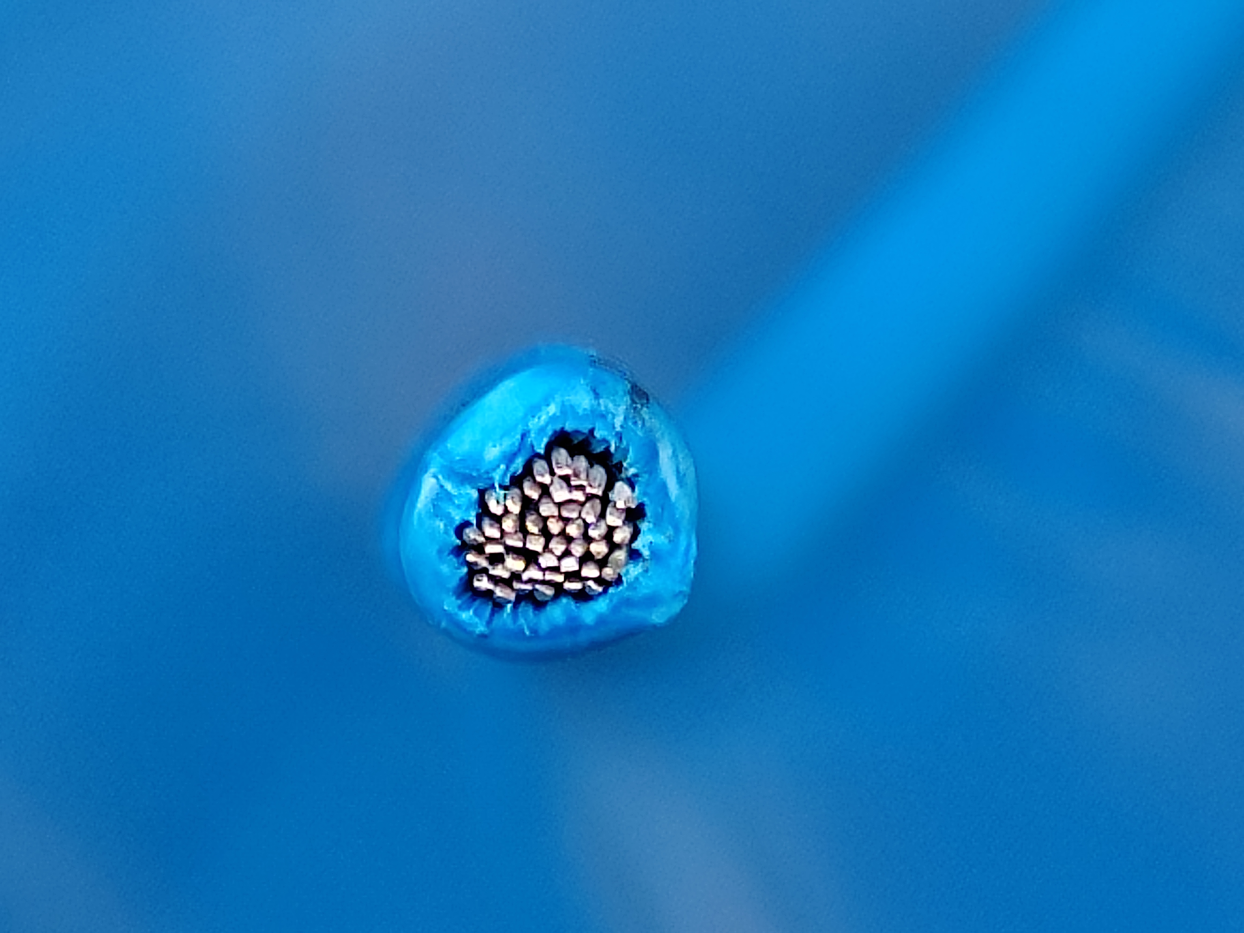 XHHWSiS_2.5SQ_blue_3.jpg