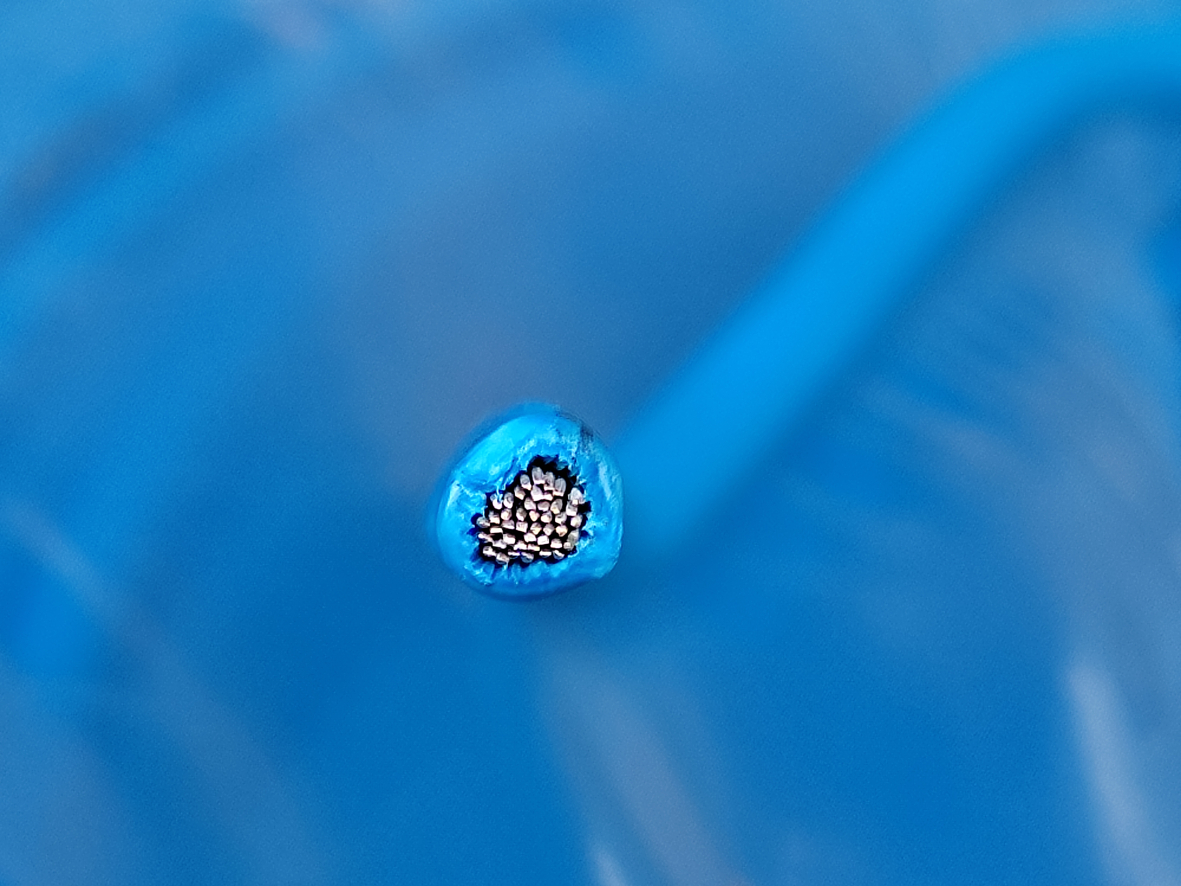 XHHWSiS_2.5SQ_blue_4.jpg