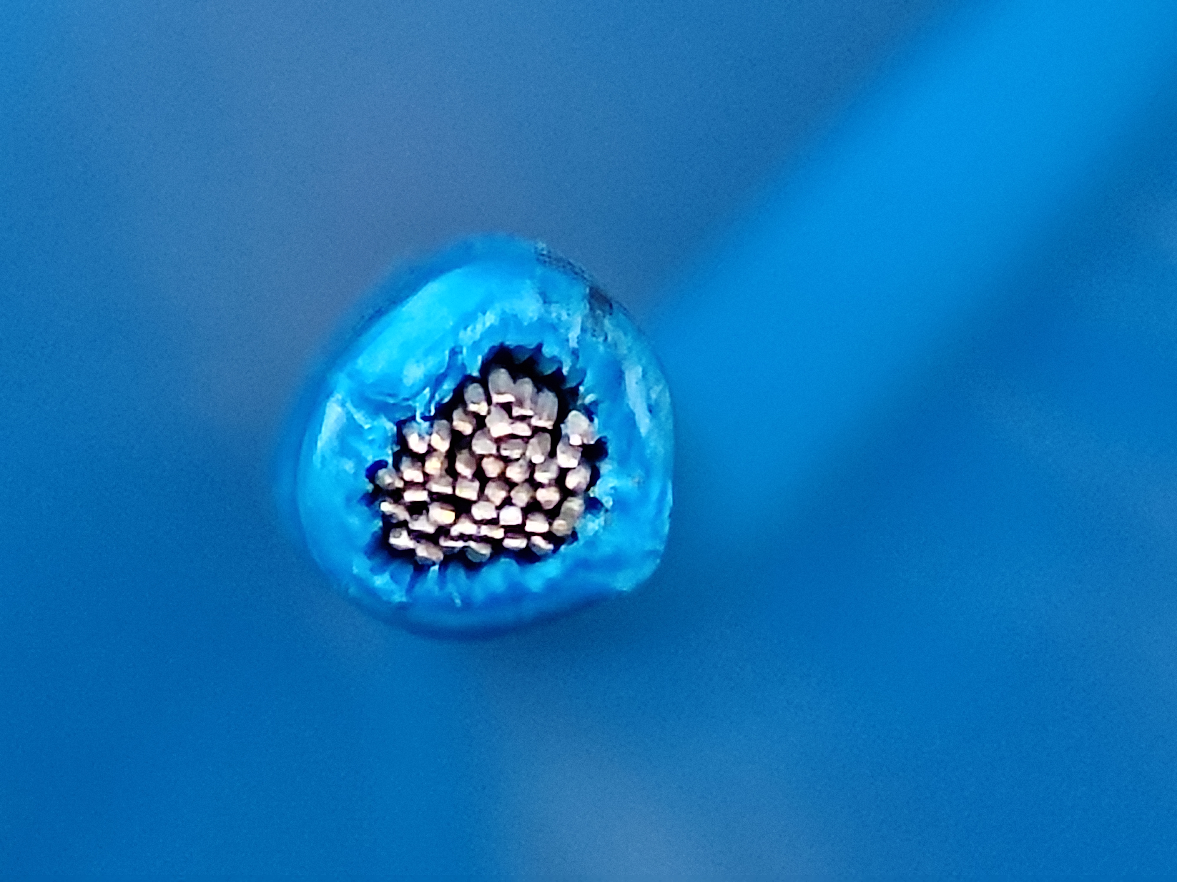 XHHWSiS_2.5SQ_blue_2.jpg