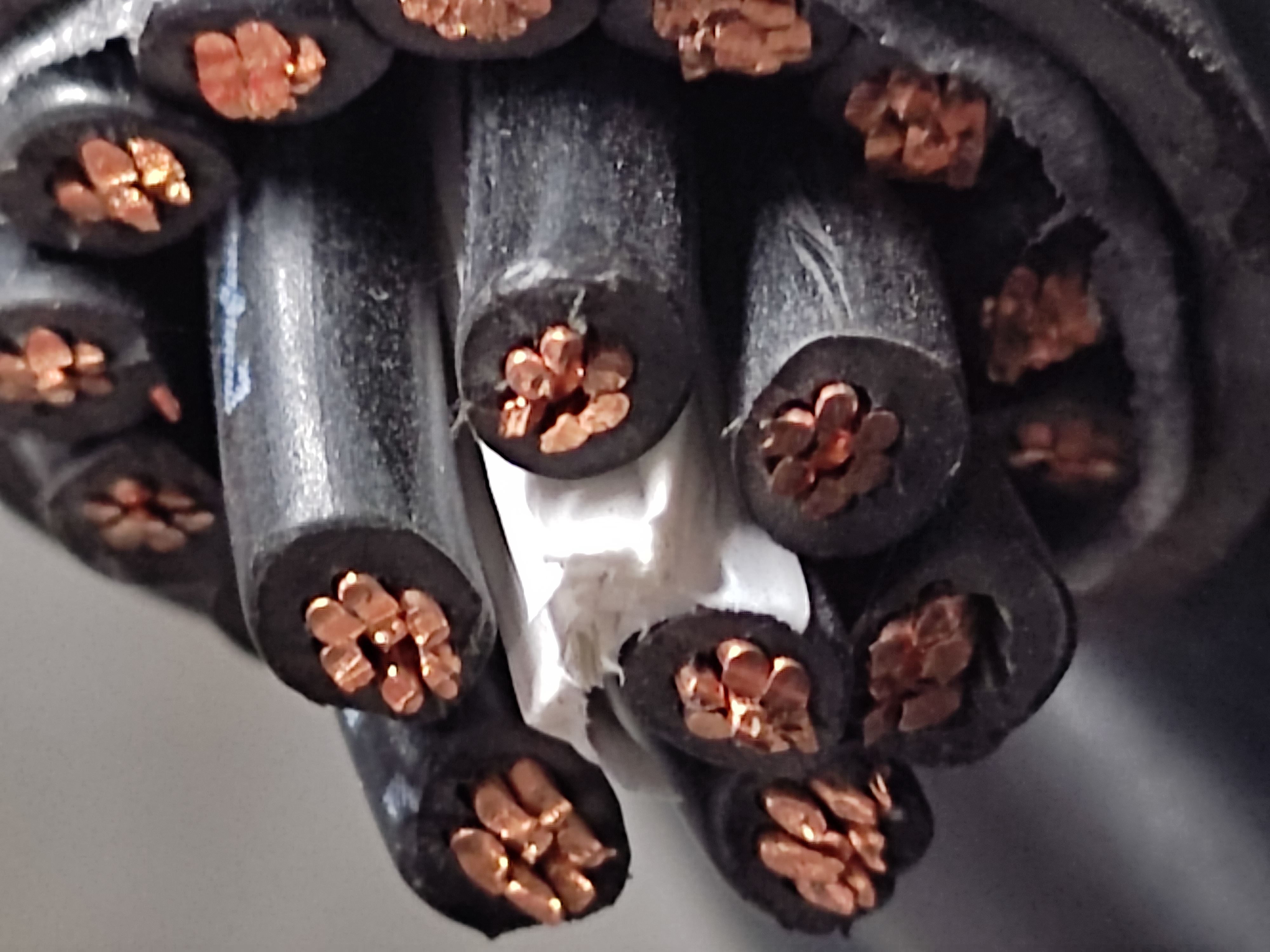 1700805278472.jpg