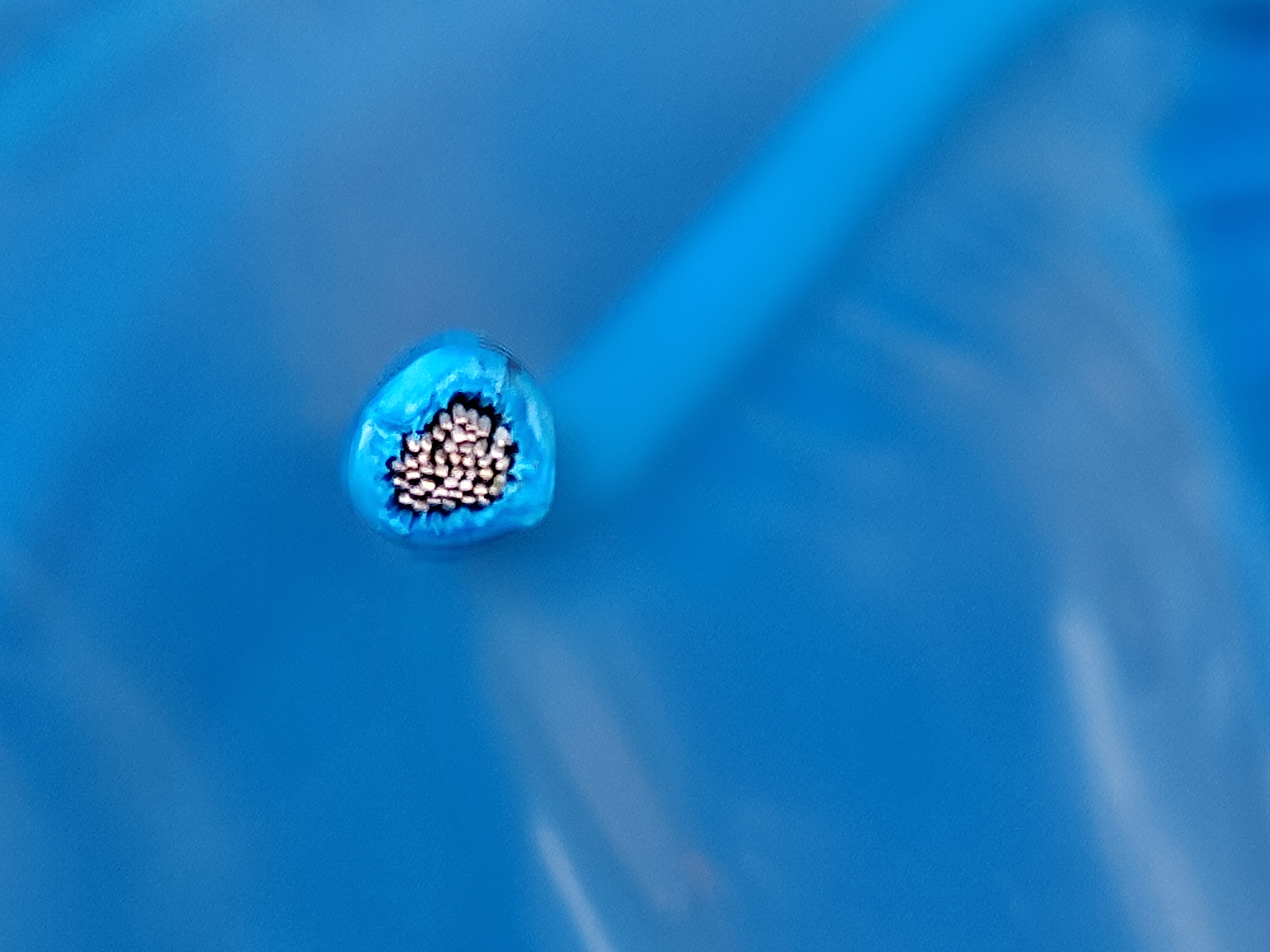 XHHWSiS_2.5SQ_blue_5.jpg