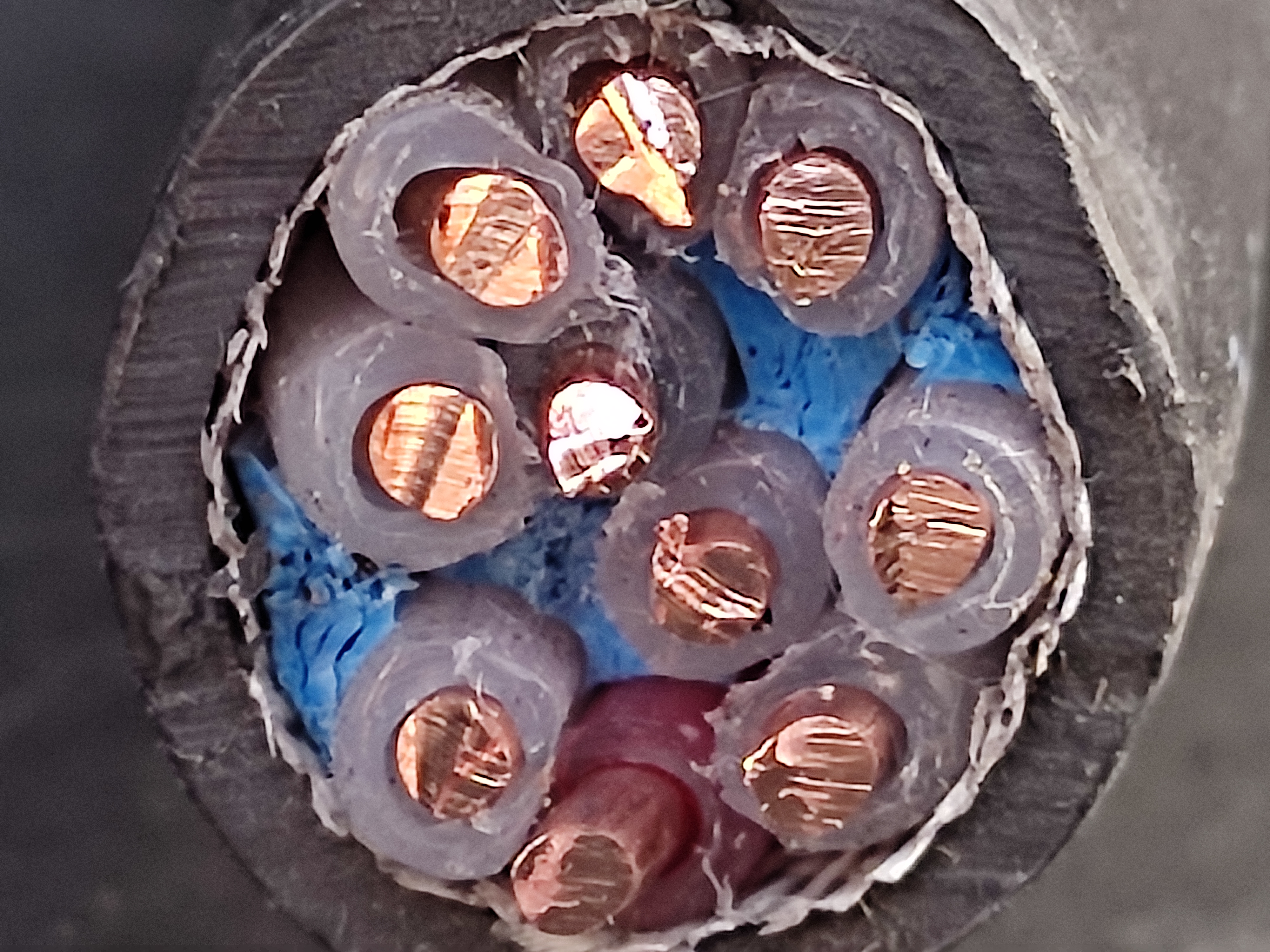 TFR-3_2.5x10C_KKC_3.jpg