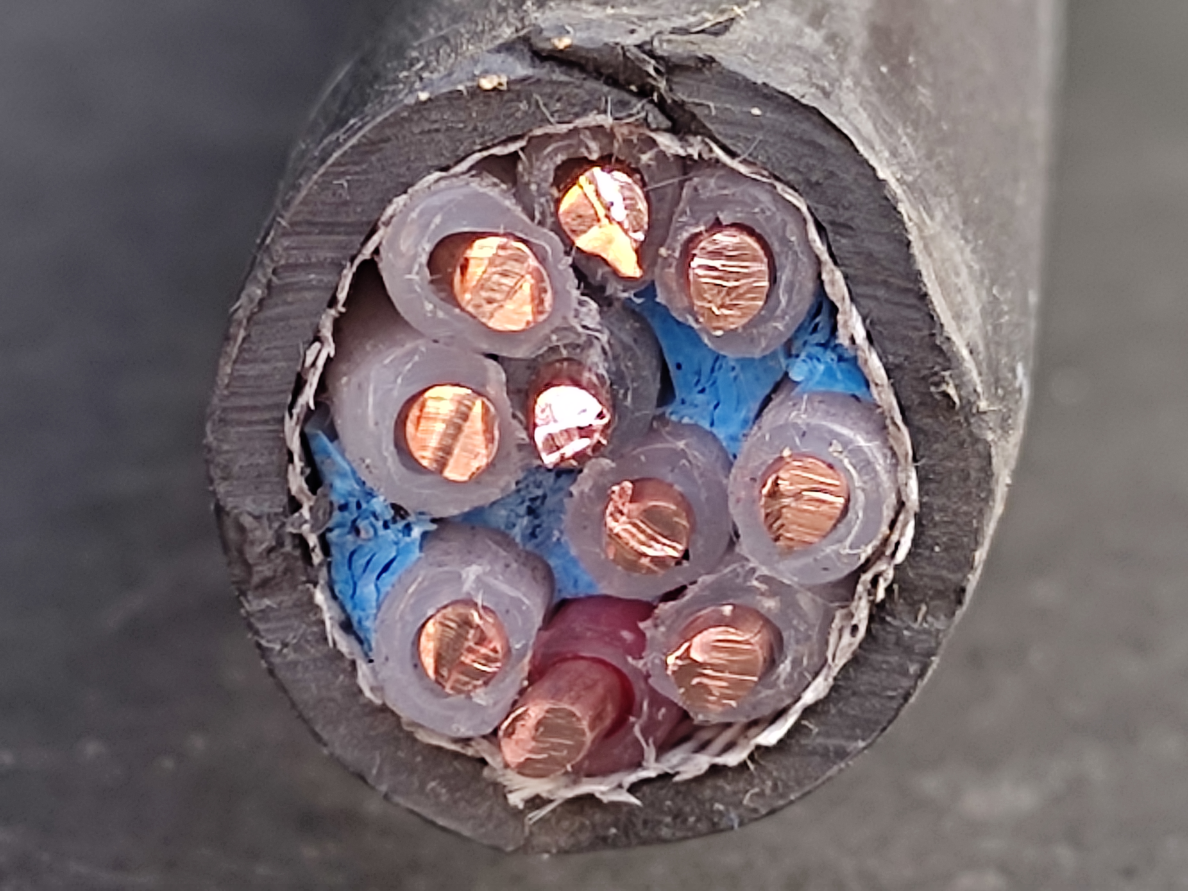 TFR-3_2.5x10C_KKC_4.jpg