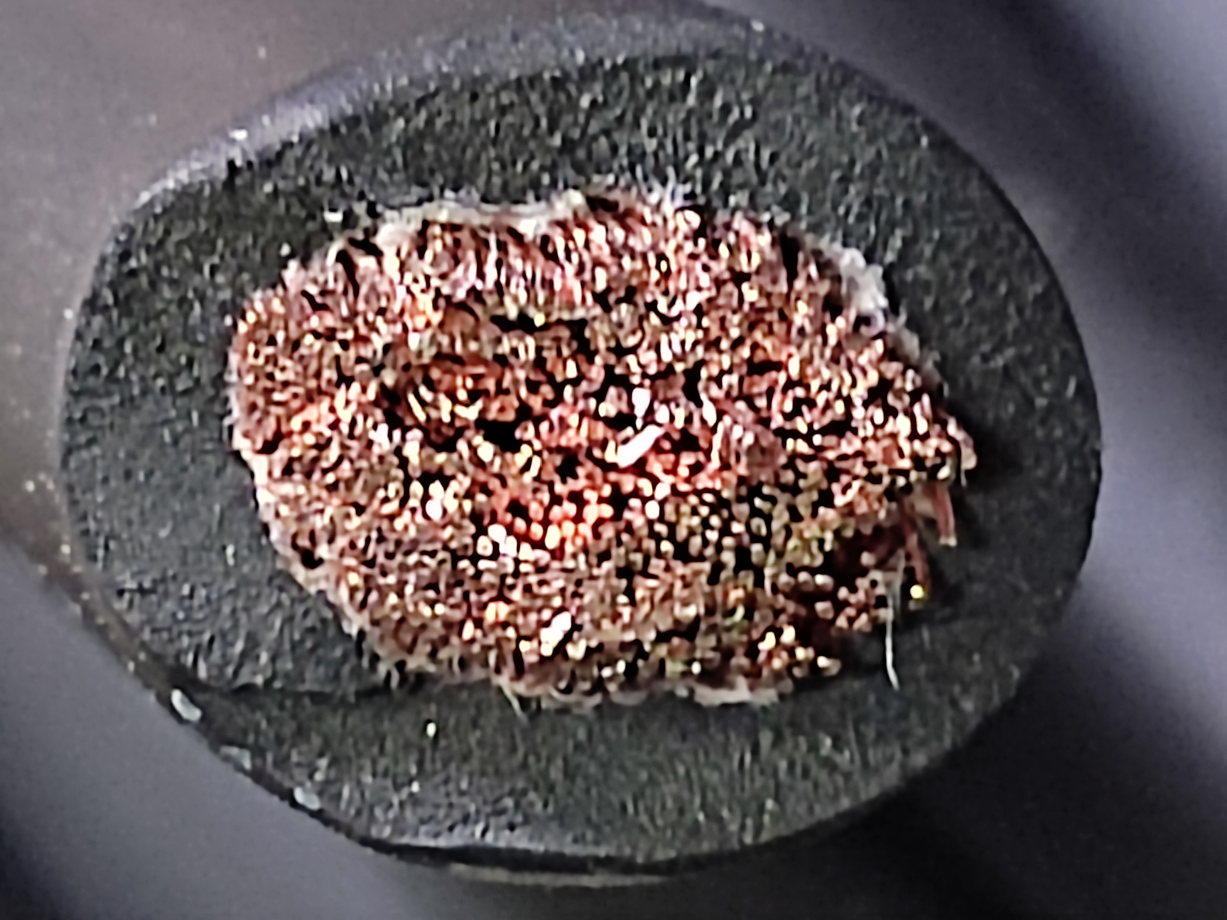 WCT_25SQ_SAMWON_2.jpg