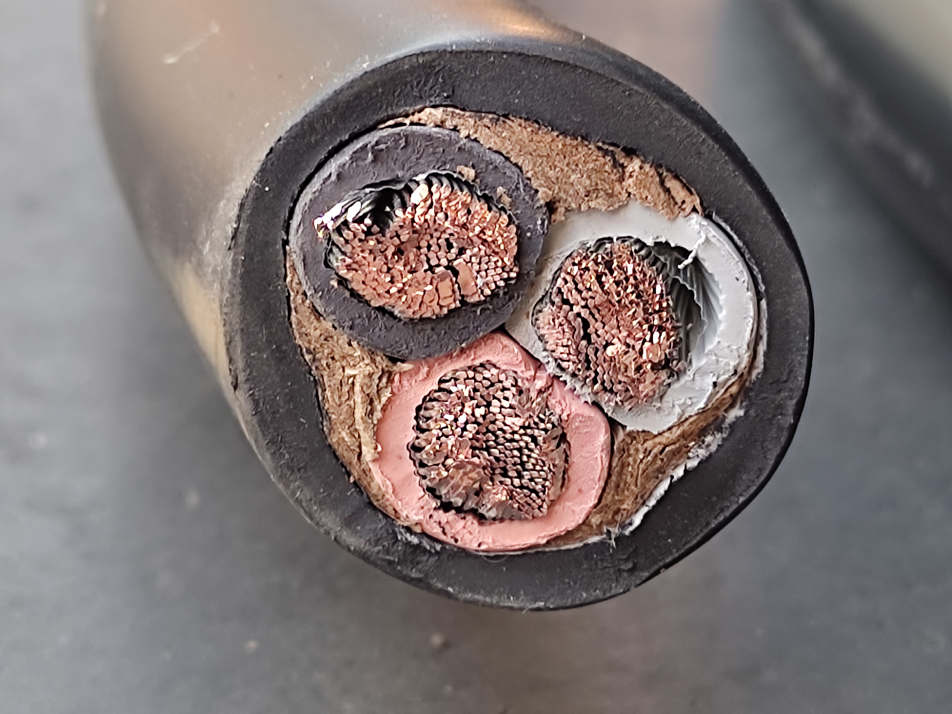 PNCT_25x3_SW_4.jpg