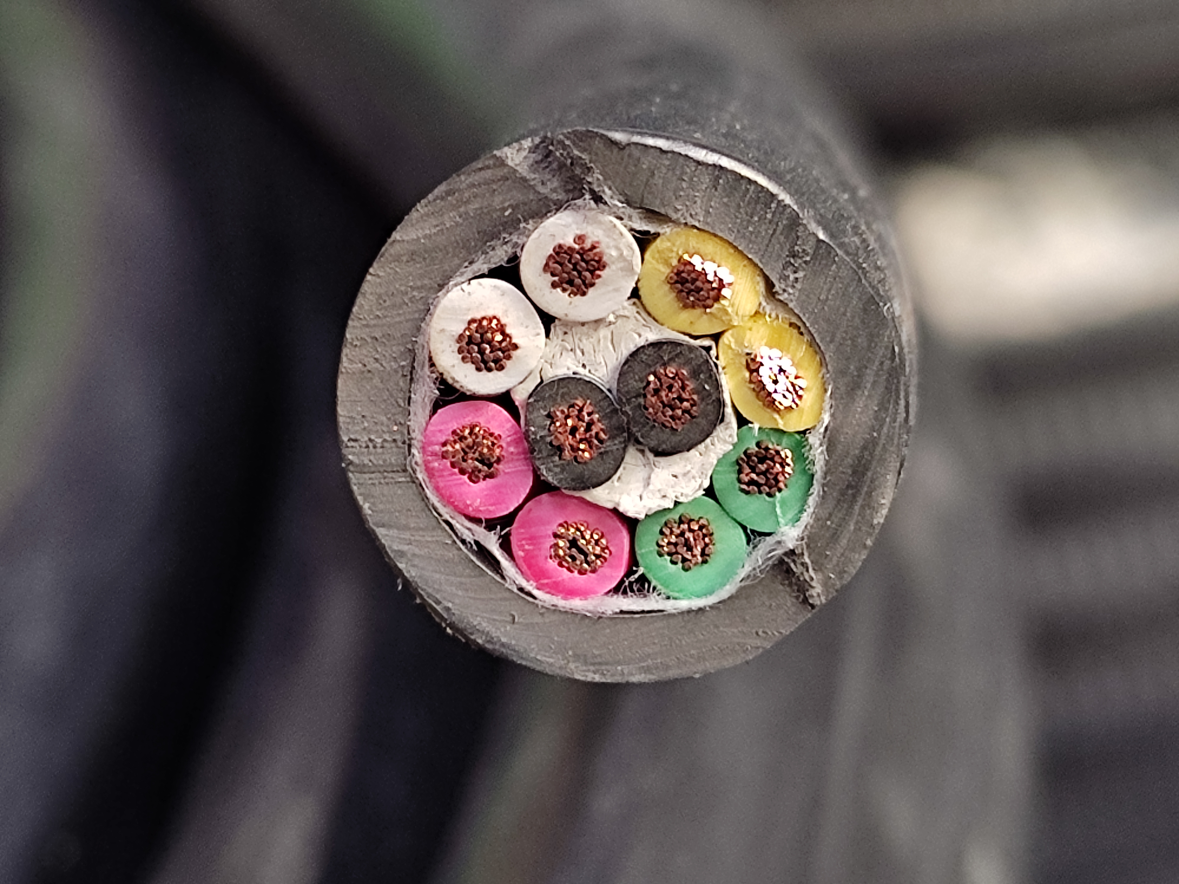 VCT_1.5x10C_SJ_7.jpg