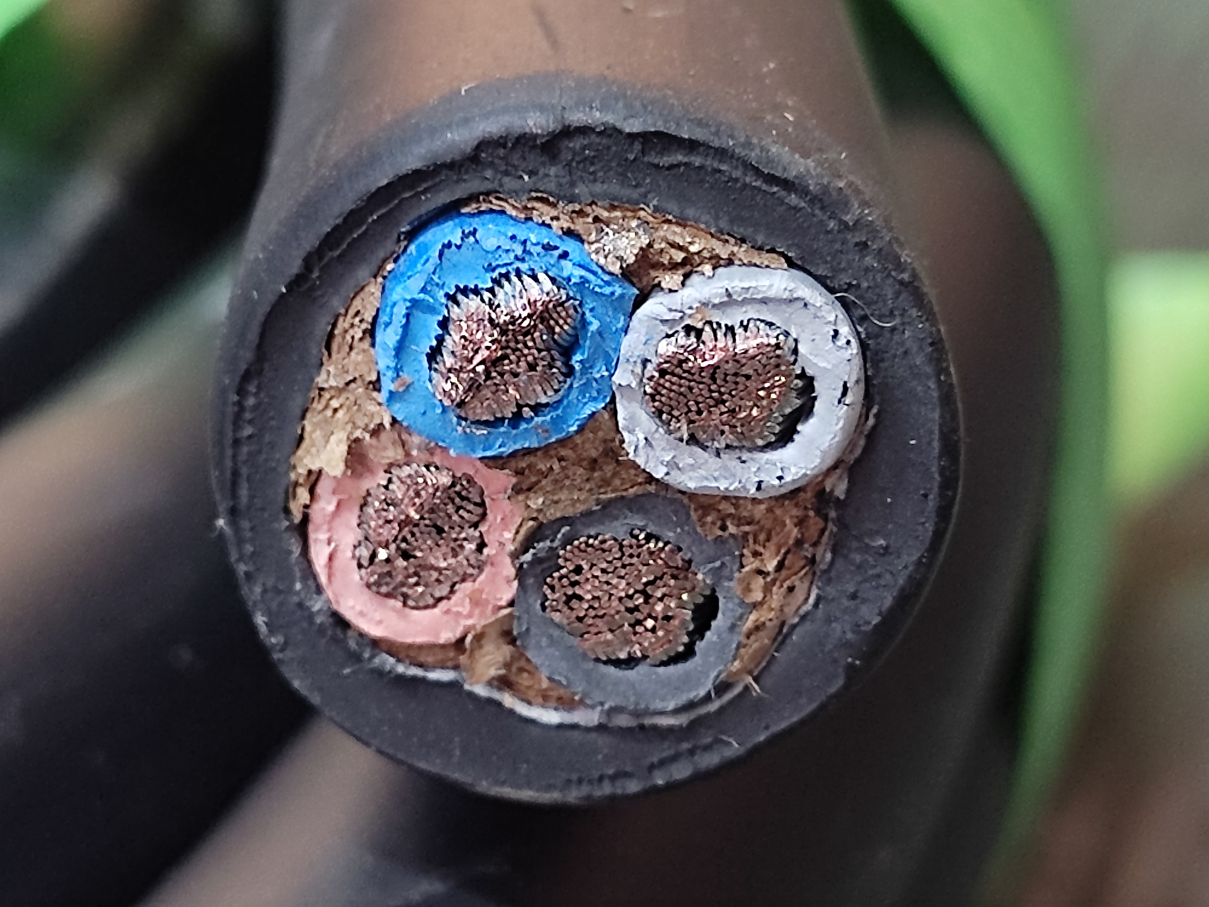 PNCT_10x4C_7.jpg
