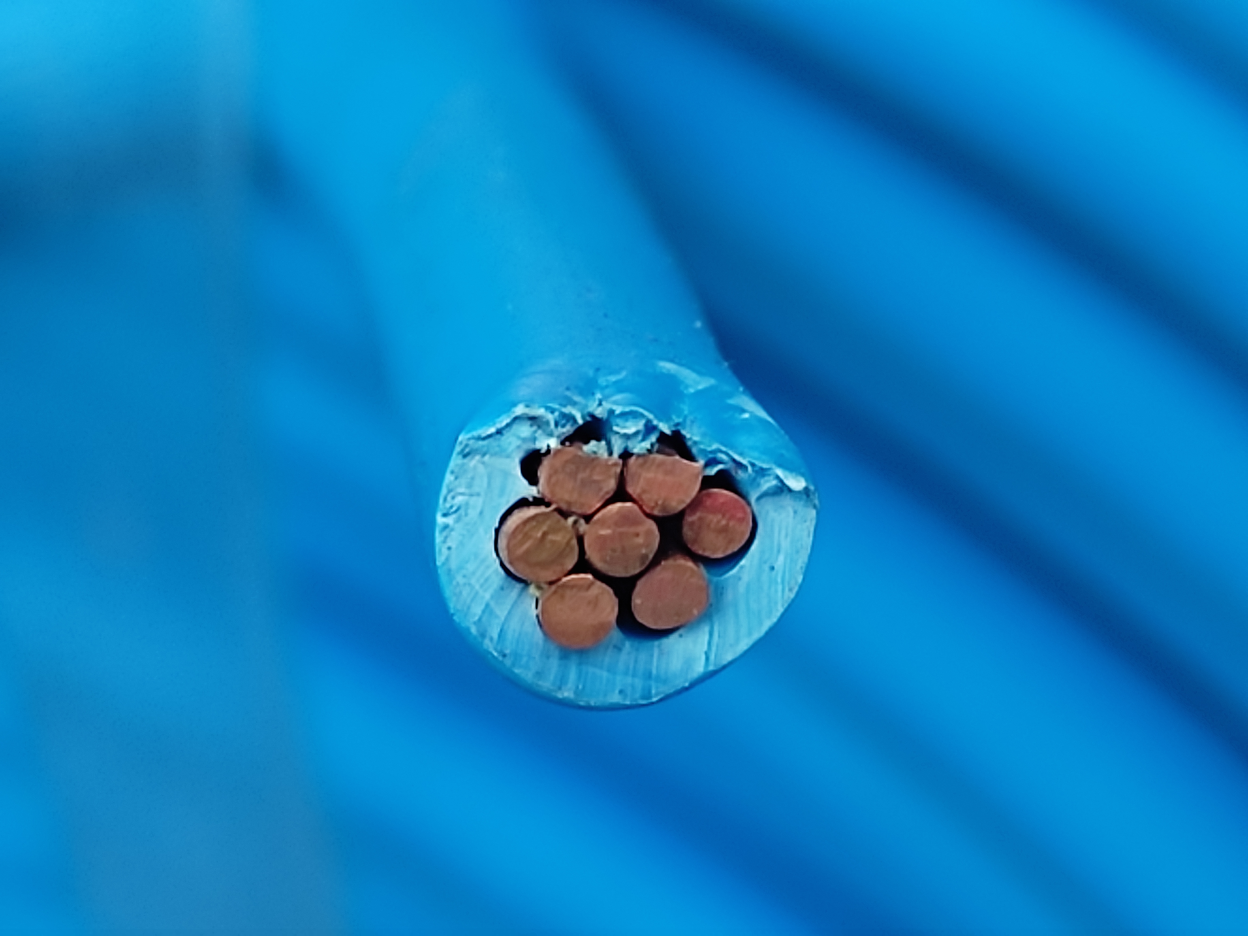 HFiX_6SQ_Blue_HNAMI_5.jpg