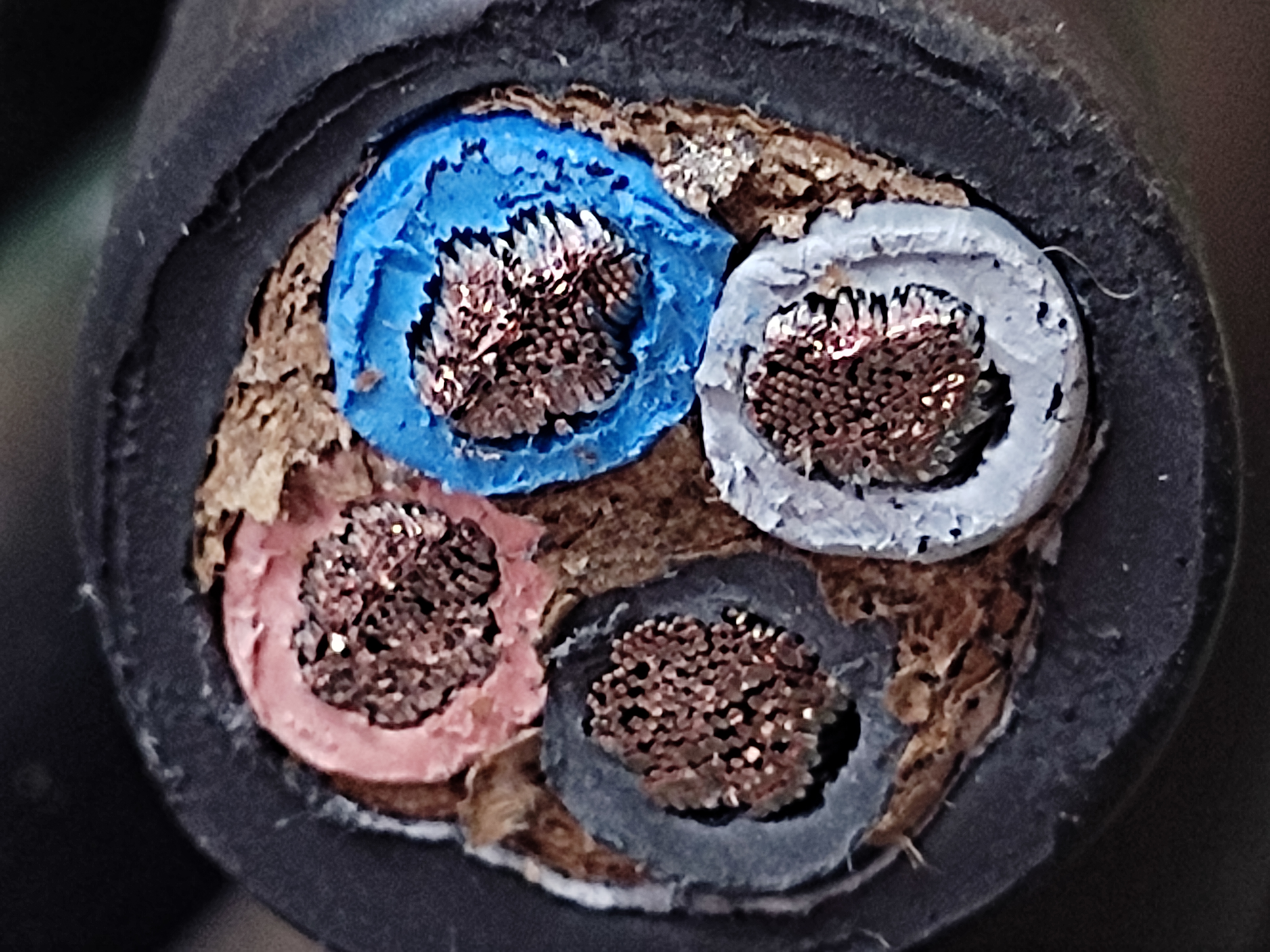 PNCT_10x4C_6.jpg