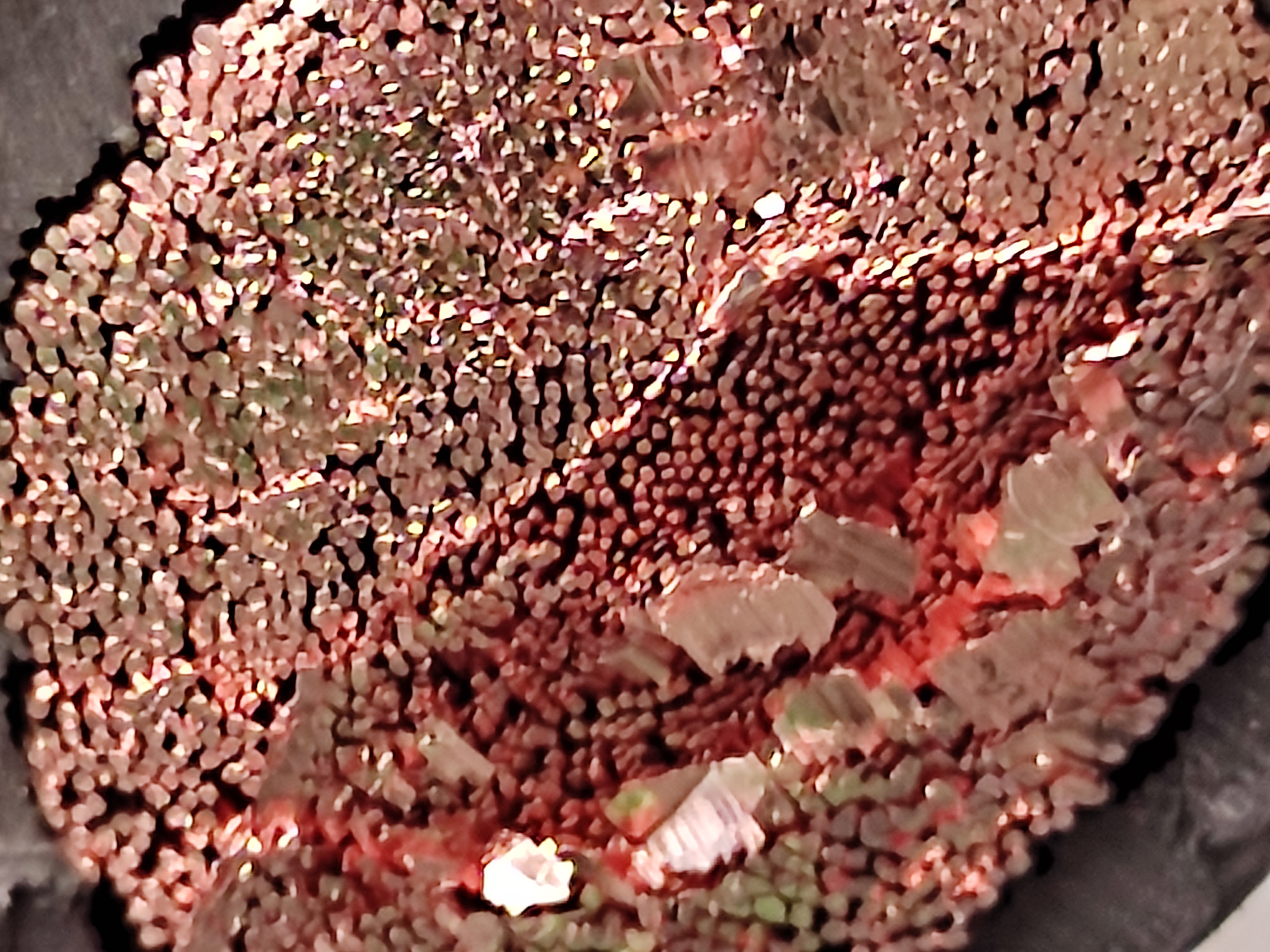 KIV_150SQ_SAMWON_1.jpg