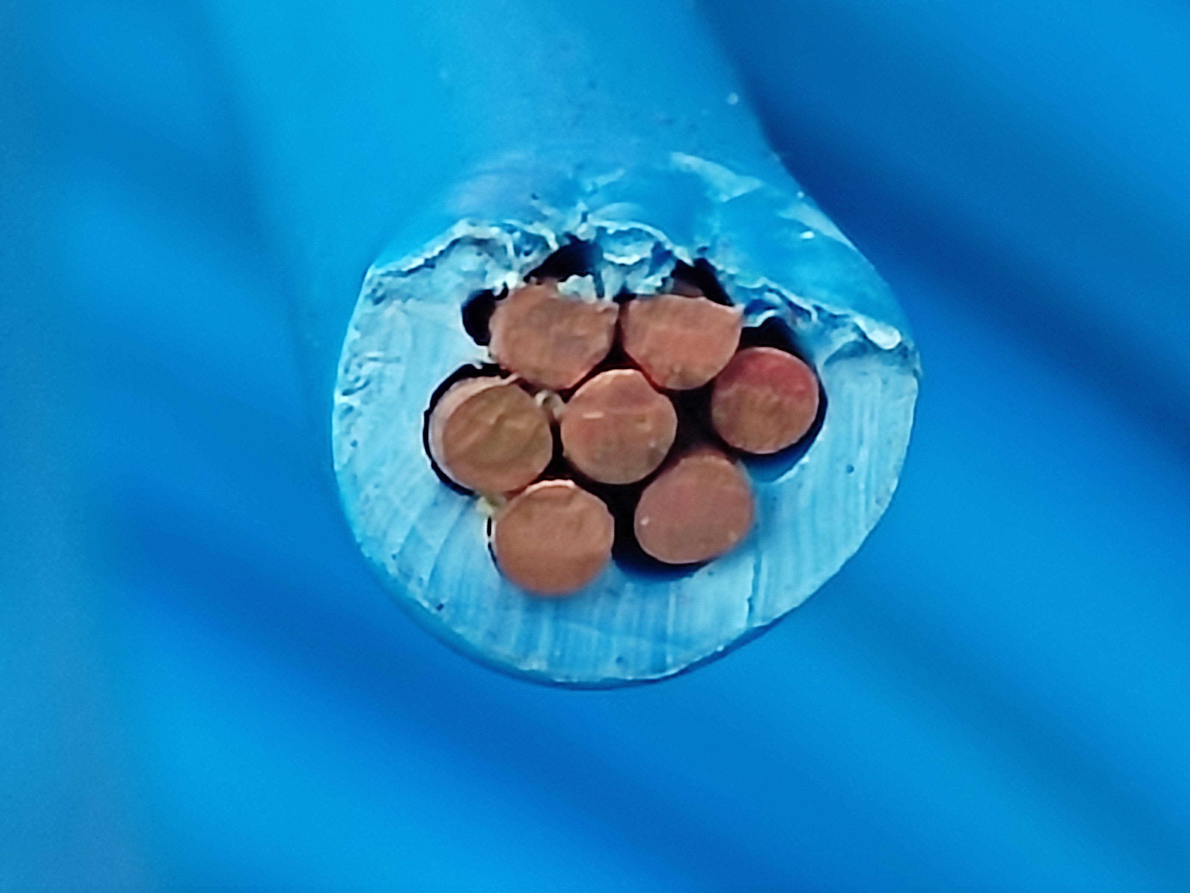HFiX_6SQ_Blue_HNAMI_3.jpg