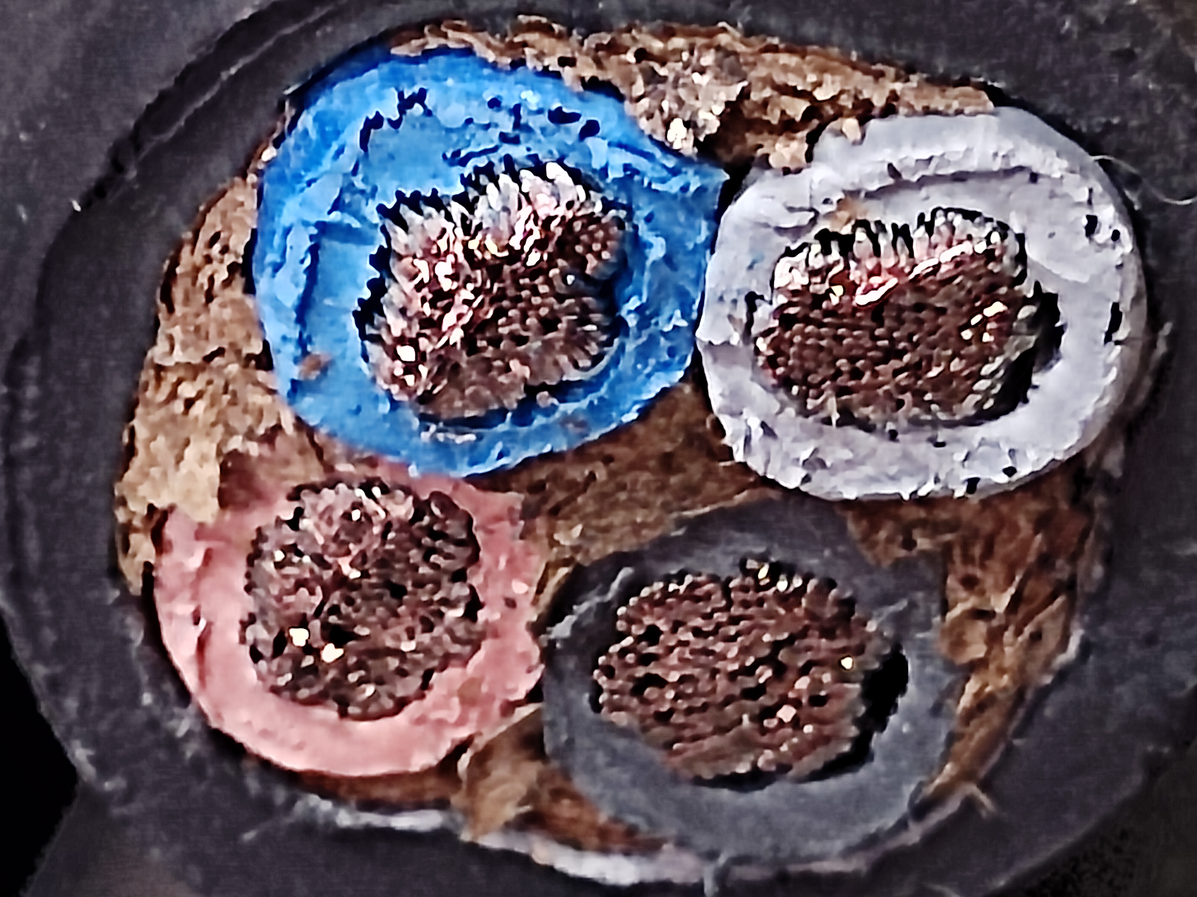 PNCT_10x4C_4.jpg