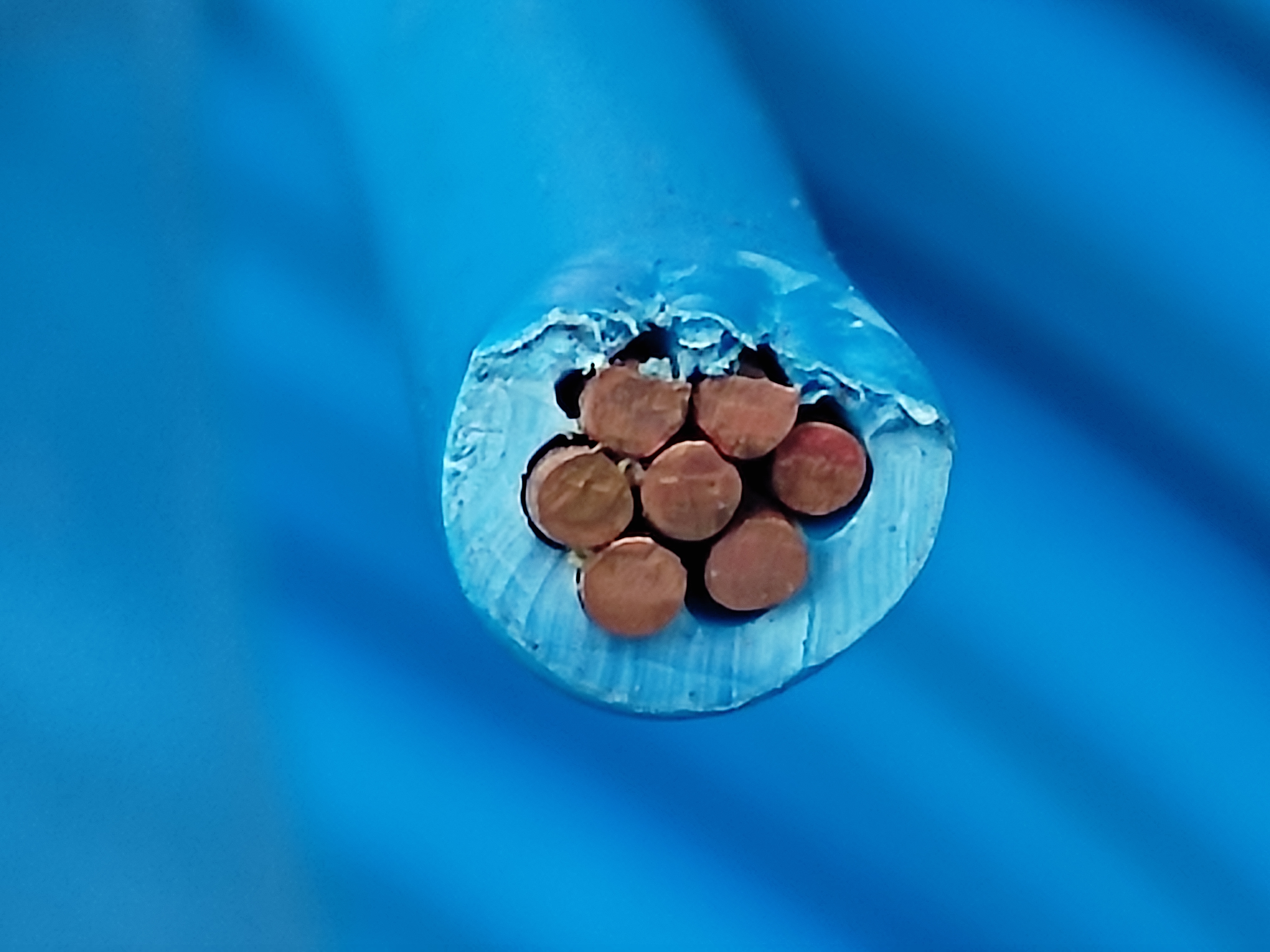 HFiX_6SQ_Blue_HNAMI_4.jpg