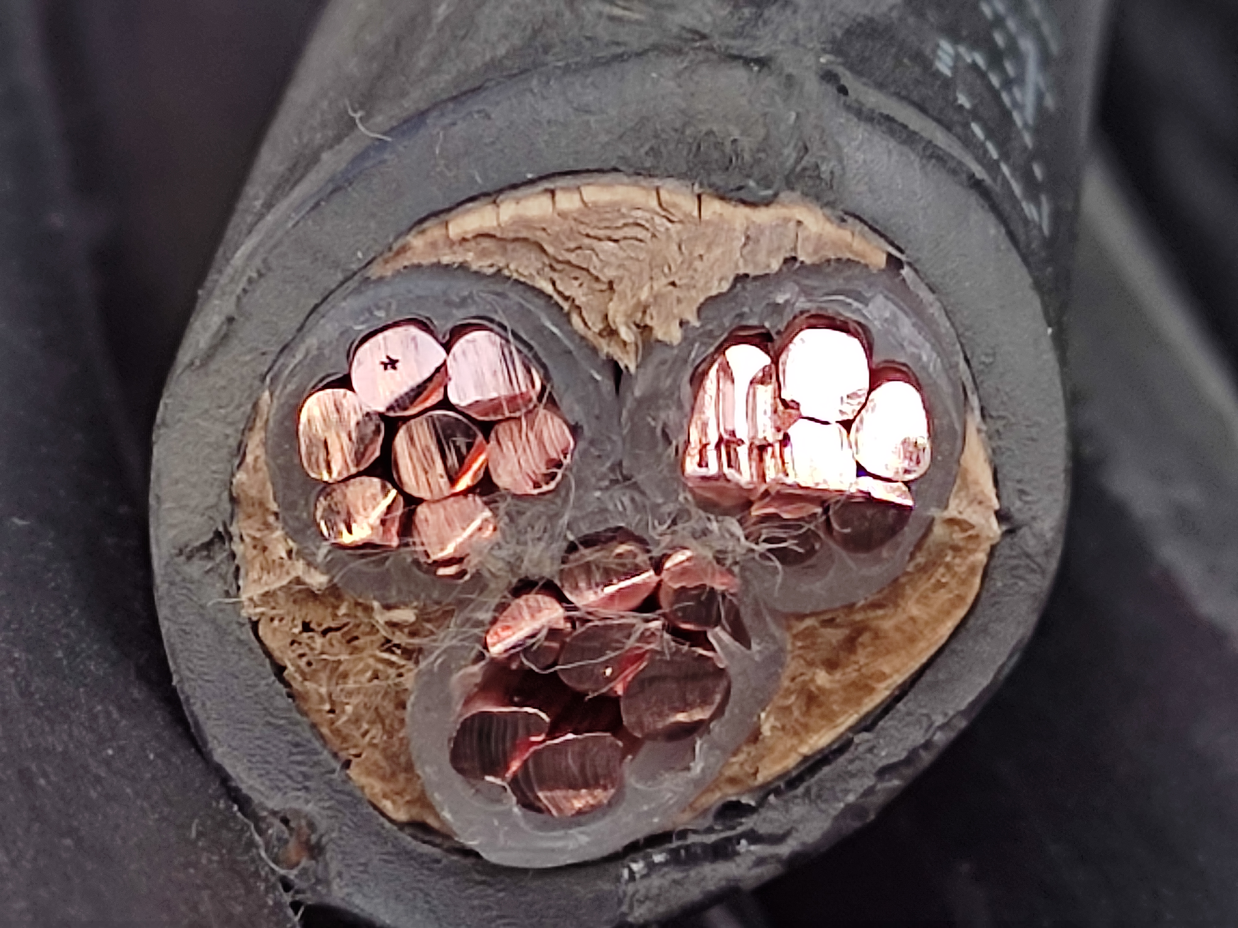 1707356281195.jpg