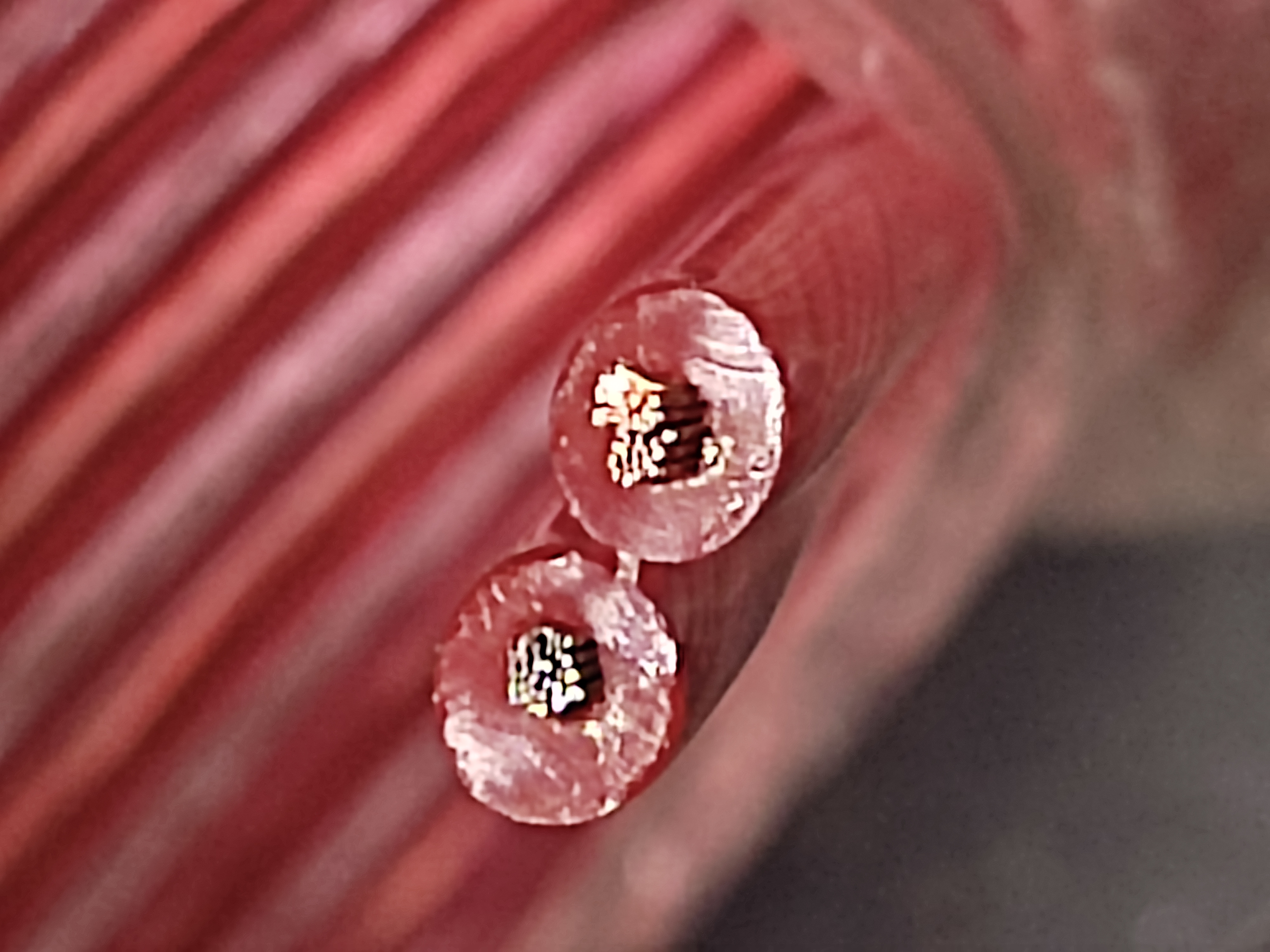 SPEAKER_30C_미래_4.jpg