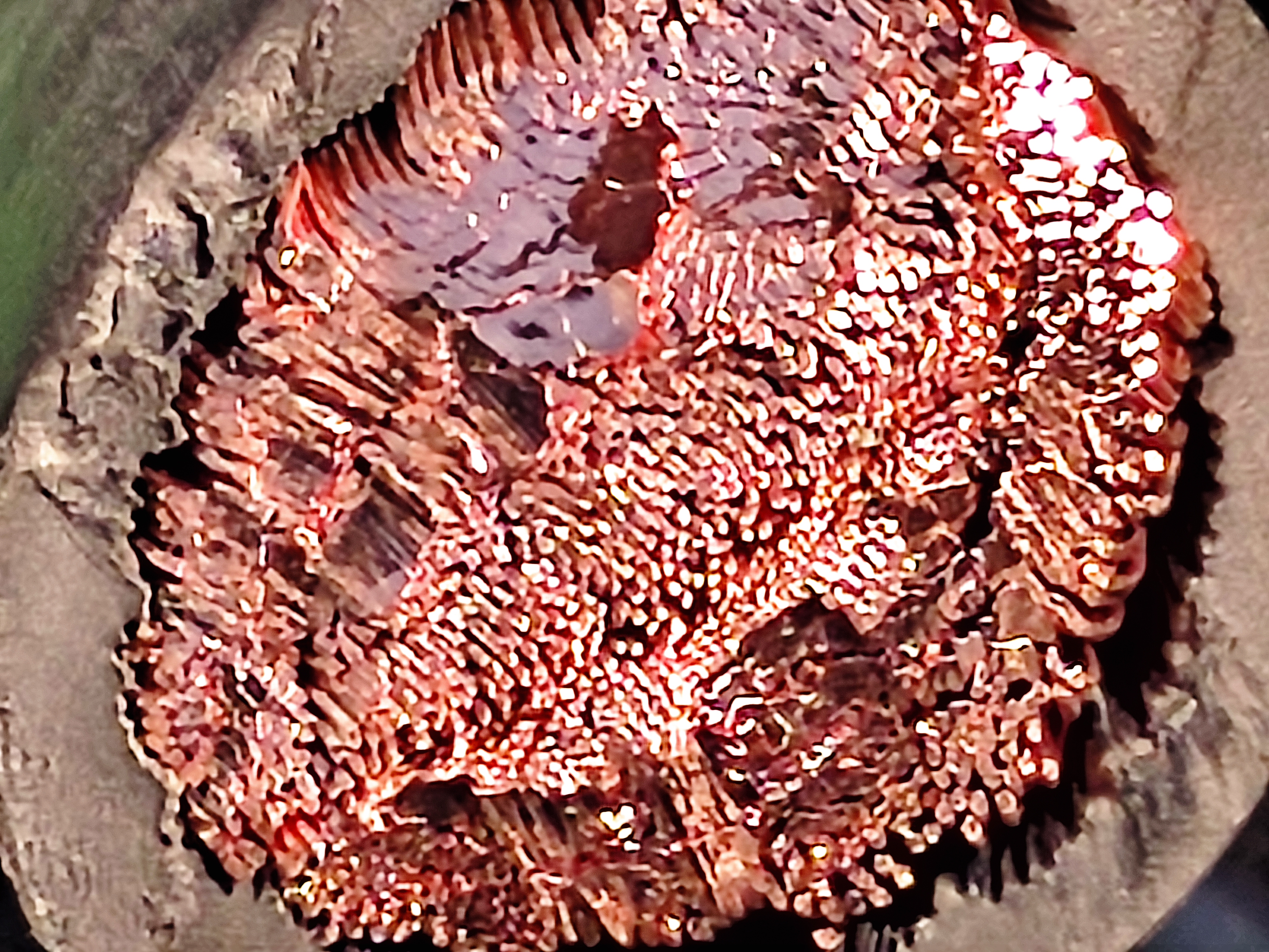 KIV_120SQ_SAMWON_1.jpg