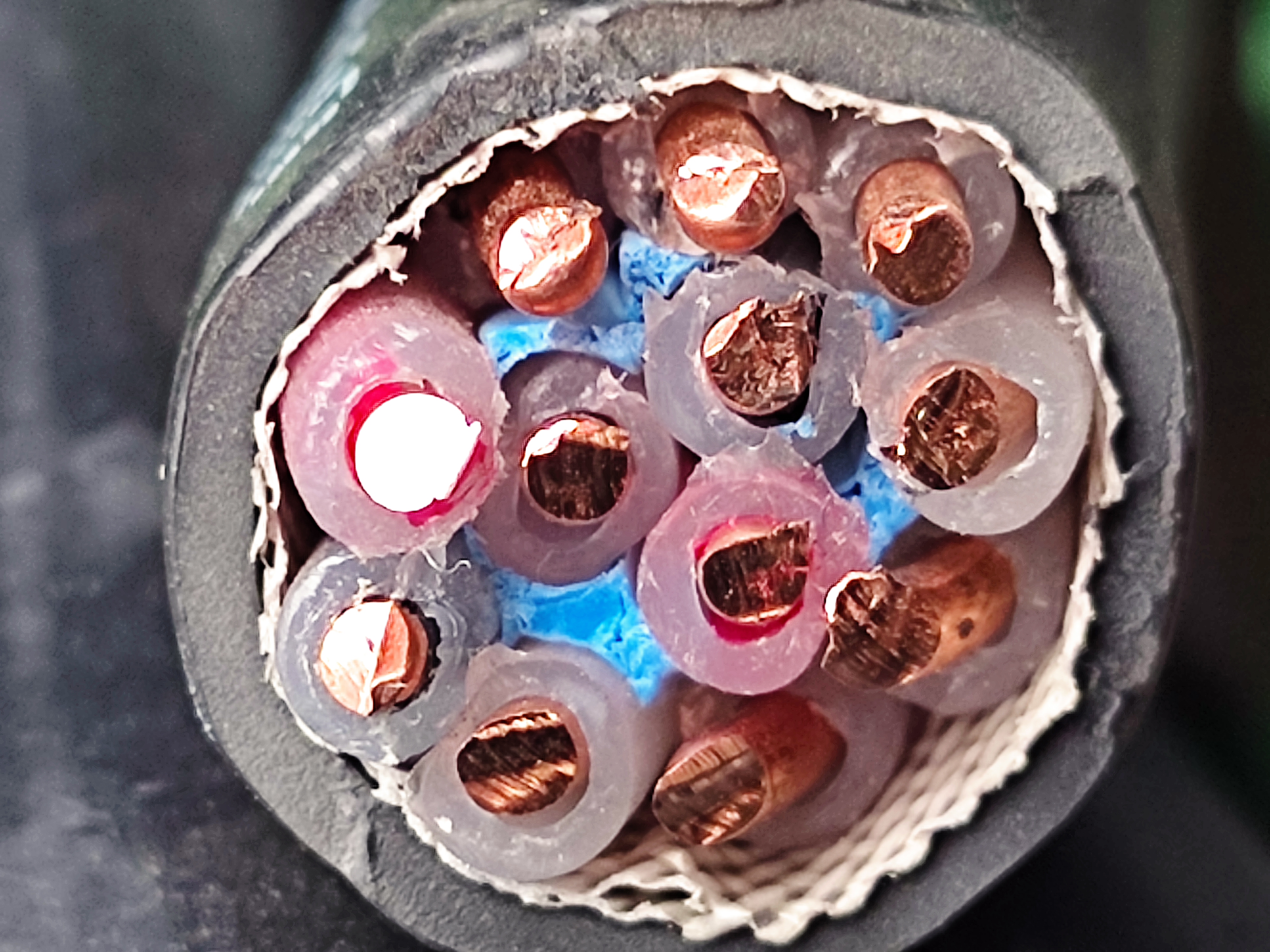 TFR-3_12Cx2.5_KKC_6.jpg