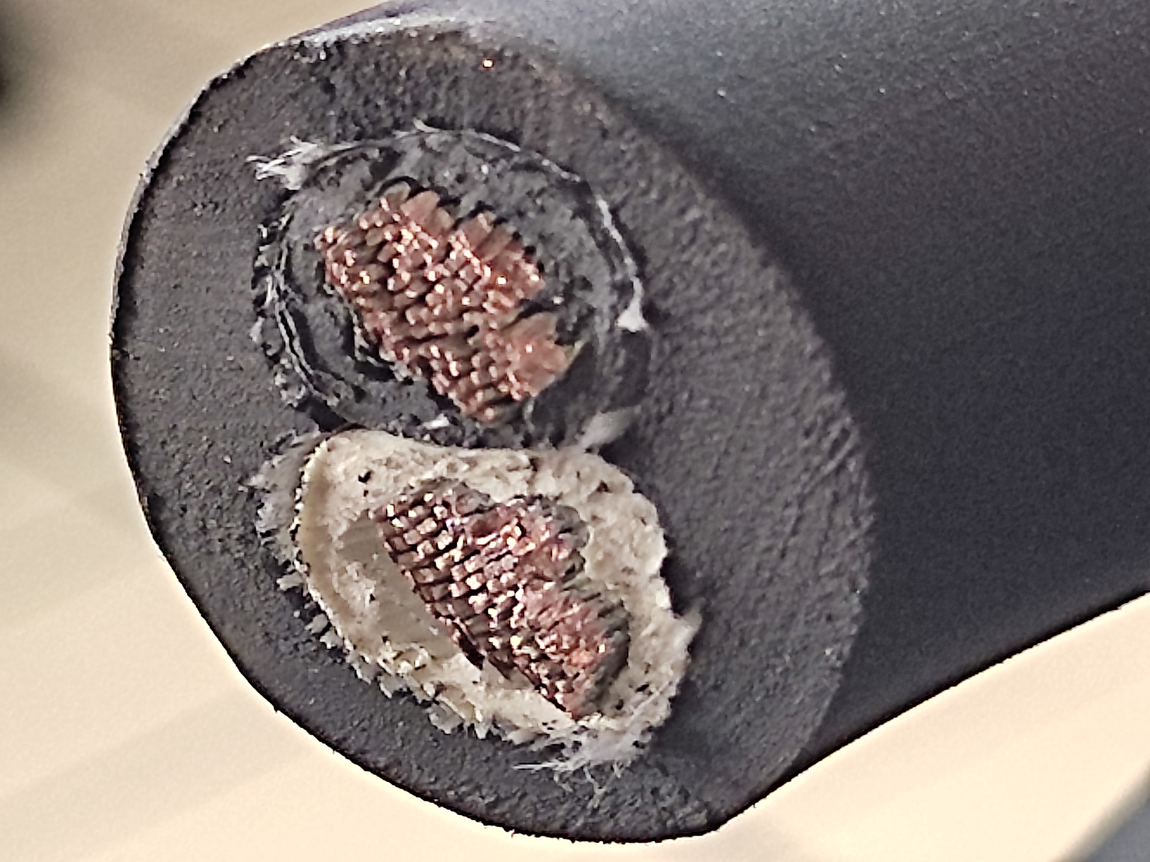 PNCT_16x2C_Mi_3.jpg