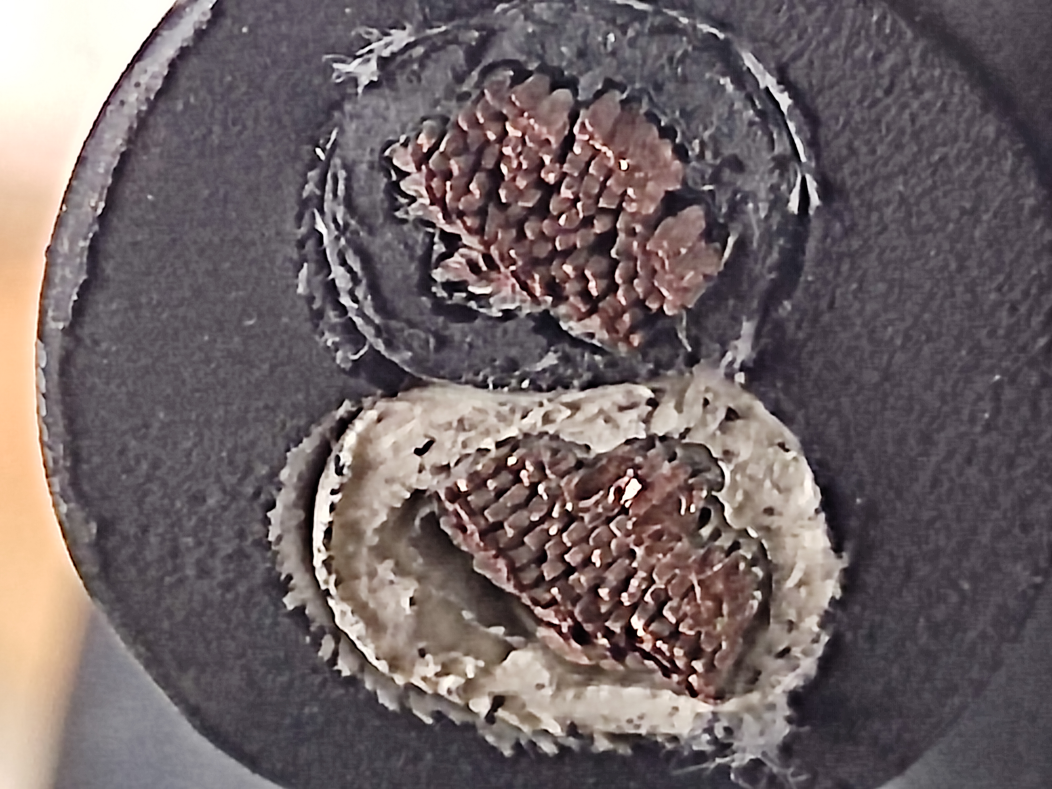 PNCT_16x2C_Mi_2.jpg