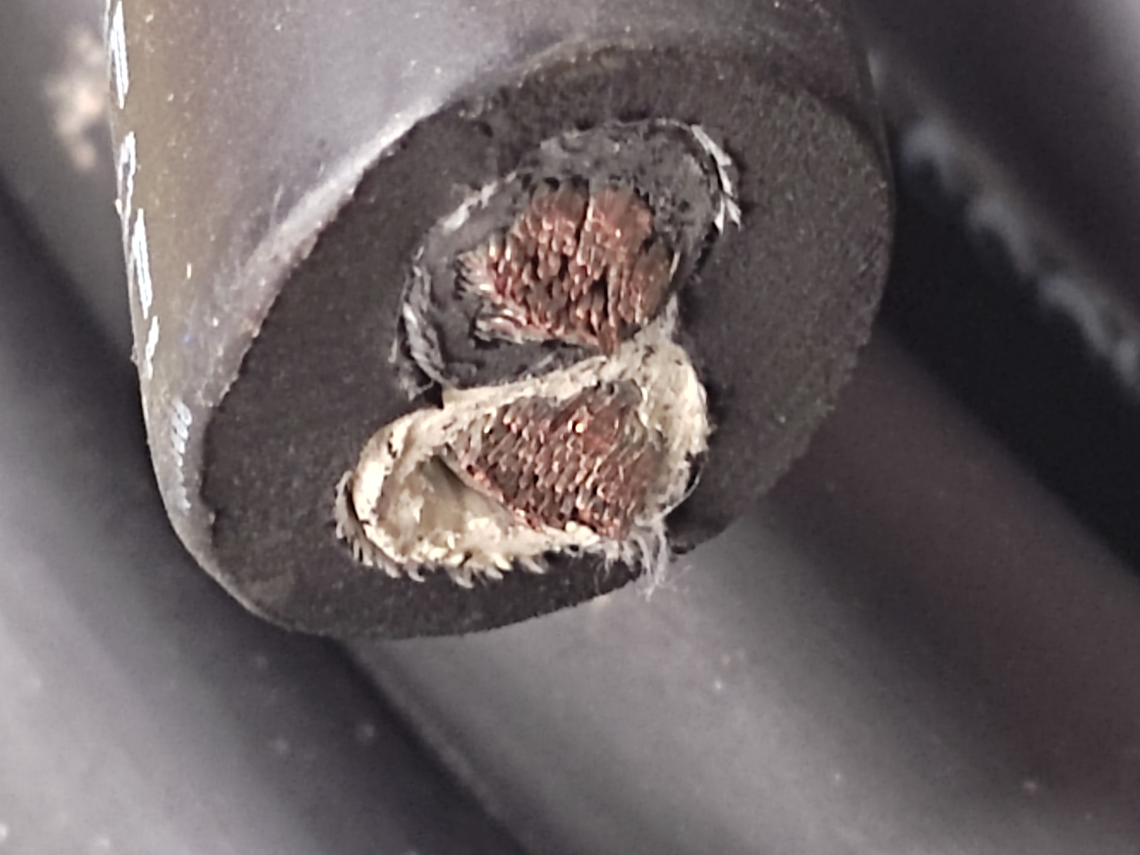 PNCT_16x2C_Mi_5.jpg
