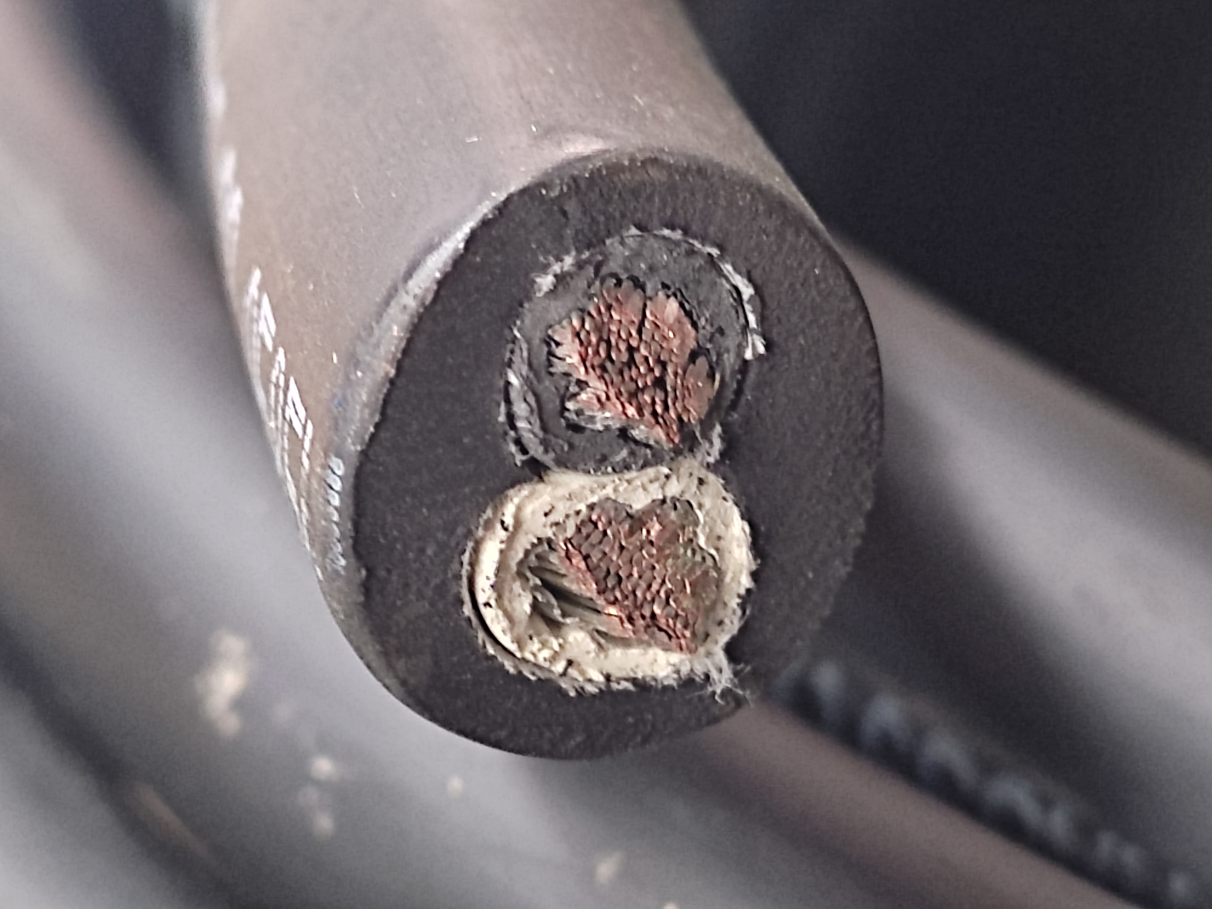 PNCT_16x2C_Mi_7.jpg