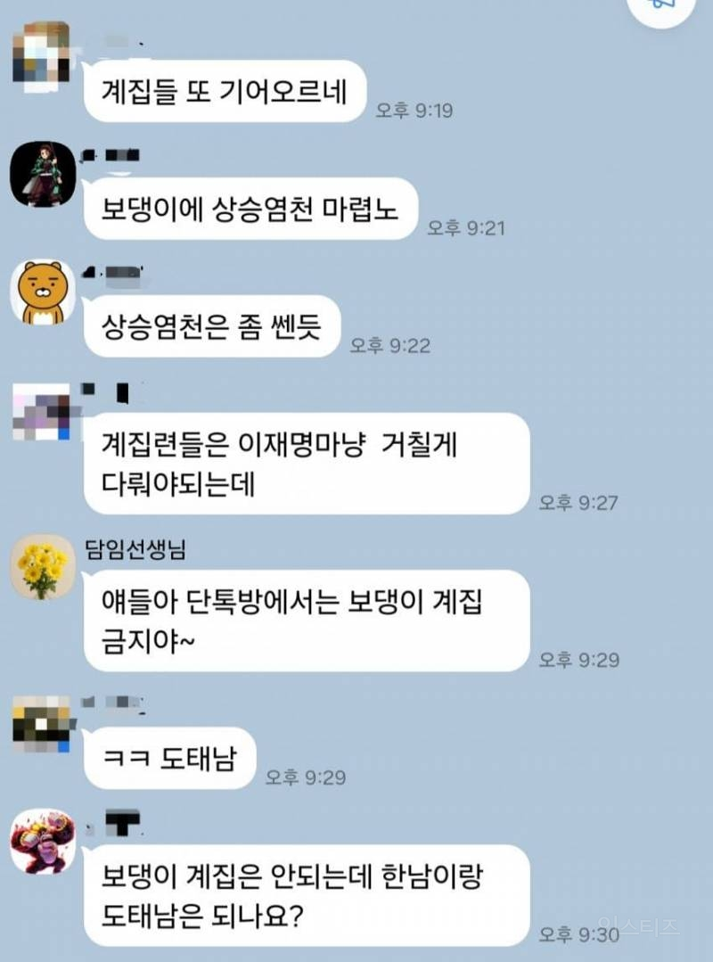 업로드 이미지