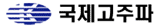 국제고주파