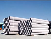 (주)금정디씨피