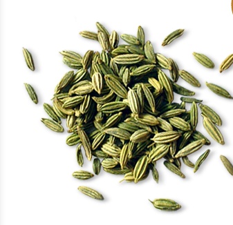 가나산미나리 농장