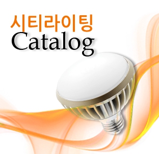 씨티라이팅