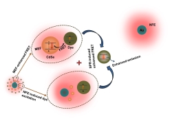 표면 플라즈몬 활성에 의한 형광체의 발광성질 향상